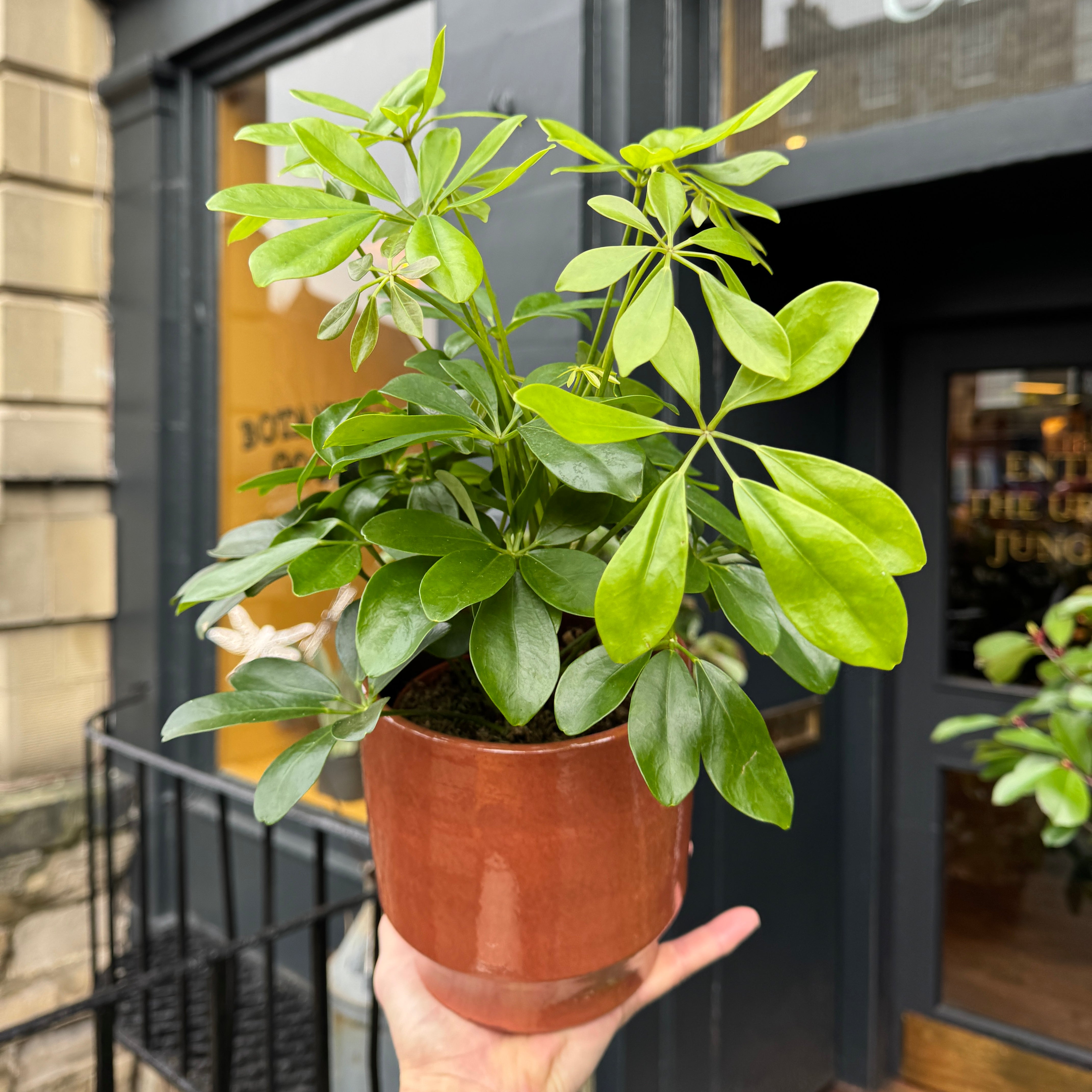 Sophie Pot - Burnt Orange | 15cm