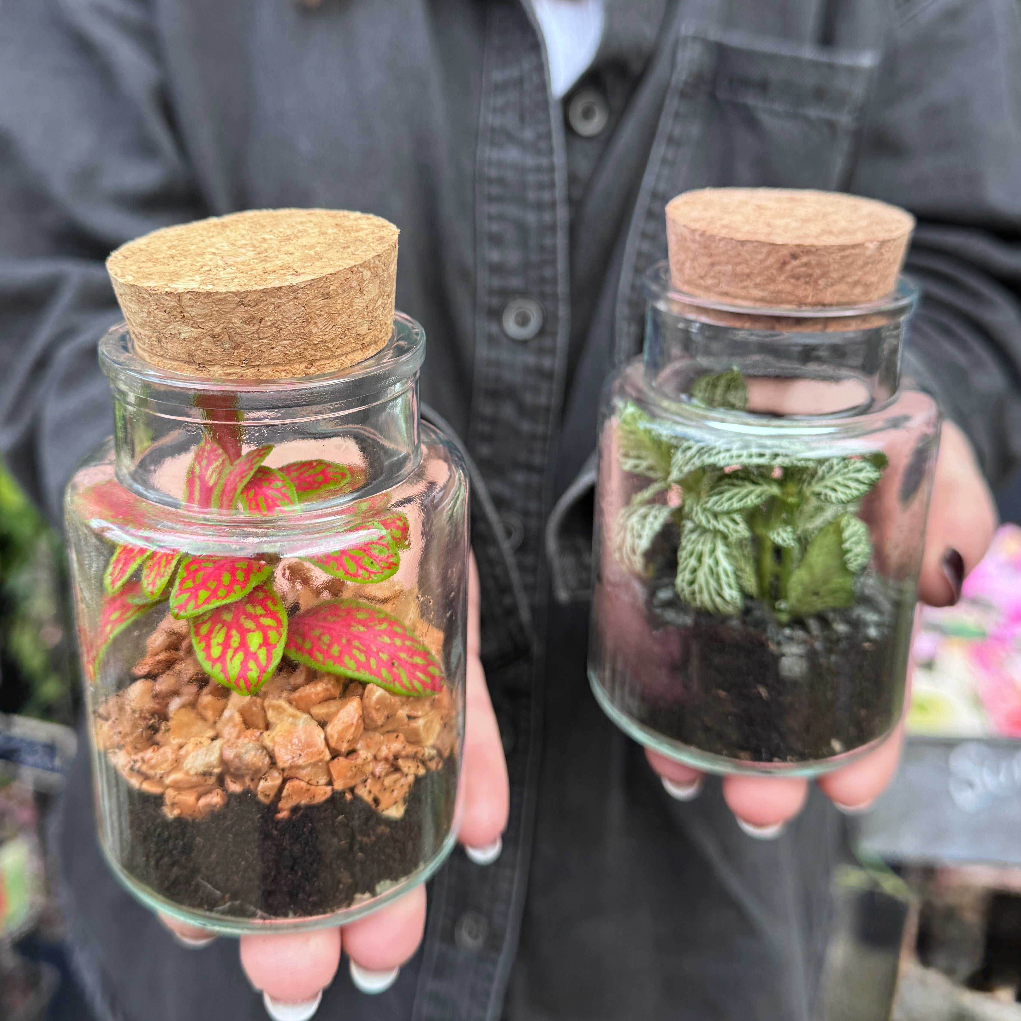 Petite Terrarium