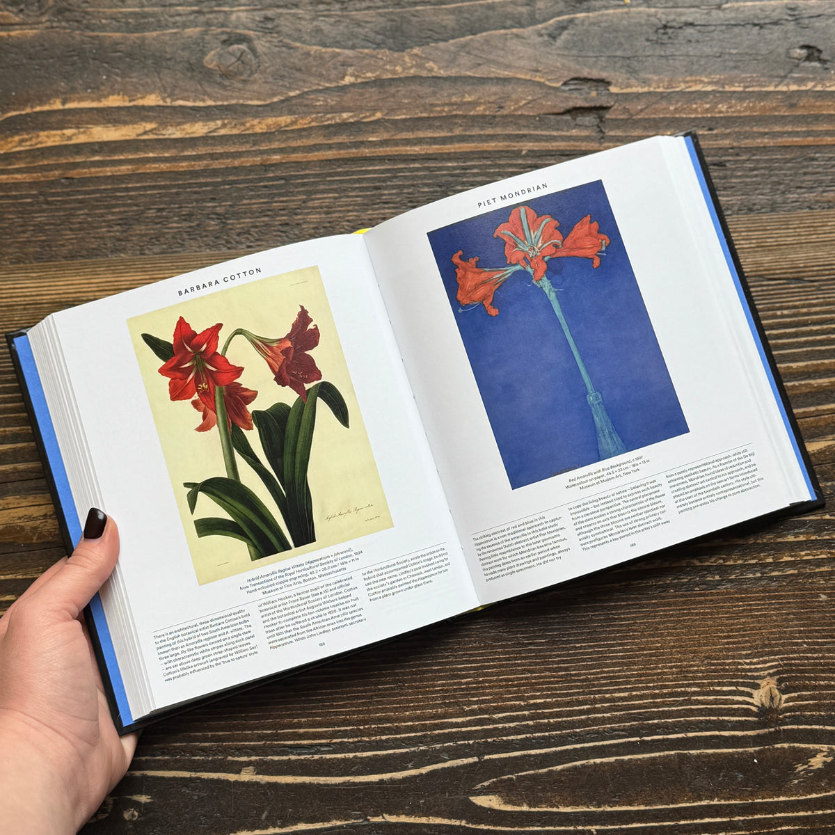 Plant: Exploring the Botanical World (Compact Edition)