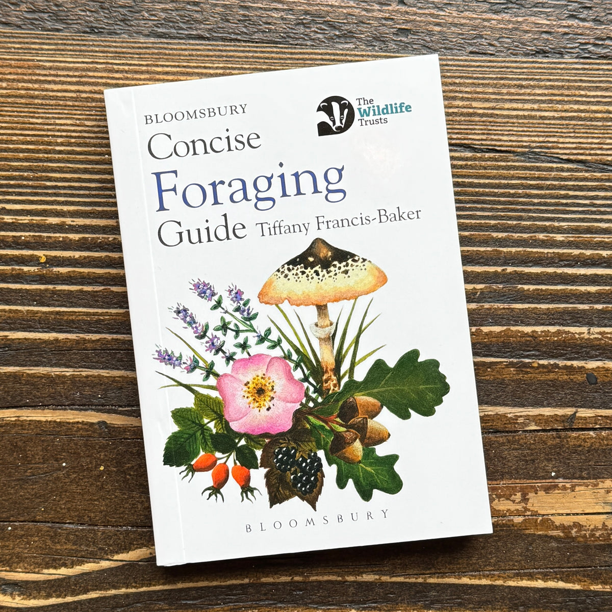 Concise Foraging Guide