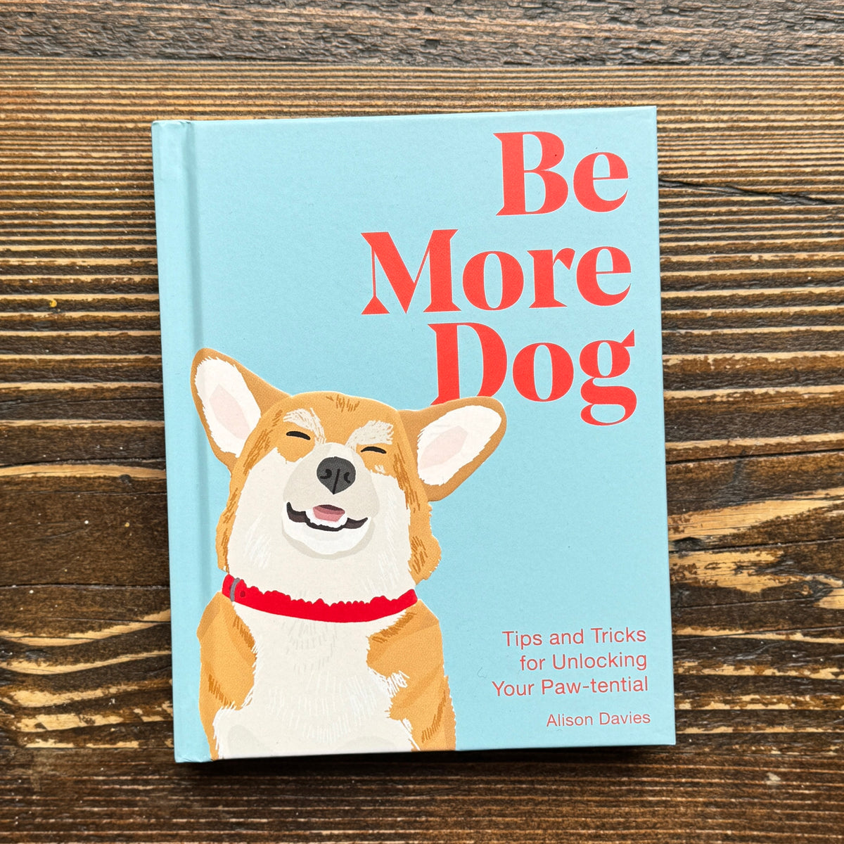Be More Dog