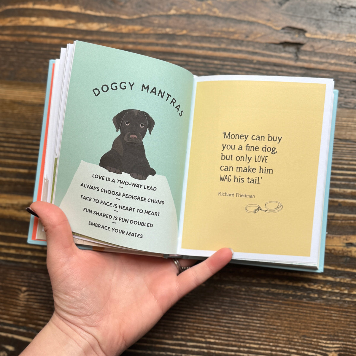 Be More Dog