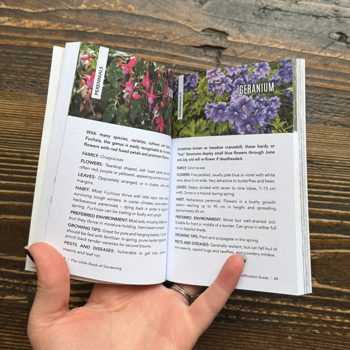 The Little Book of Gardening