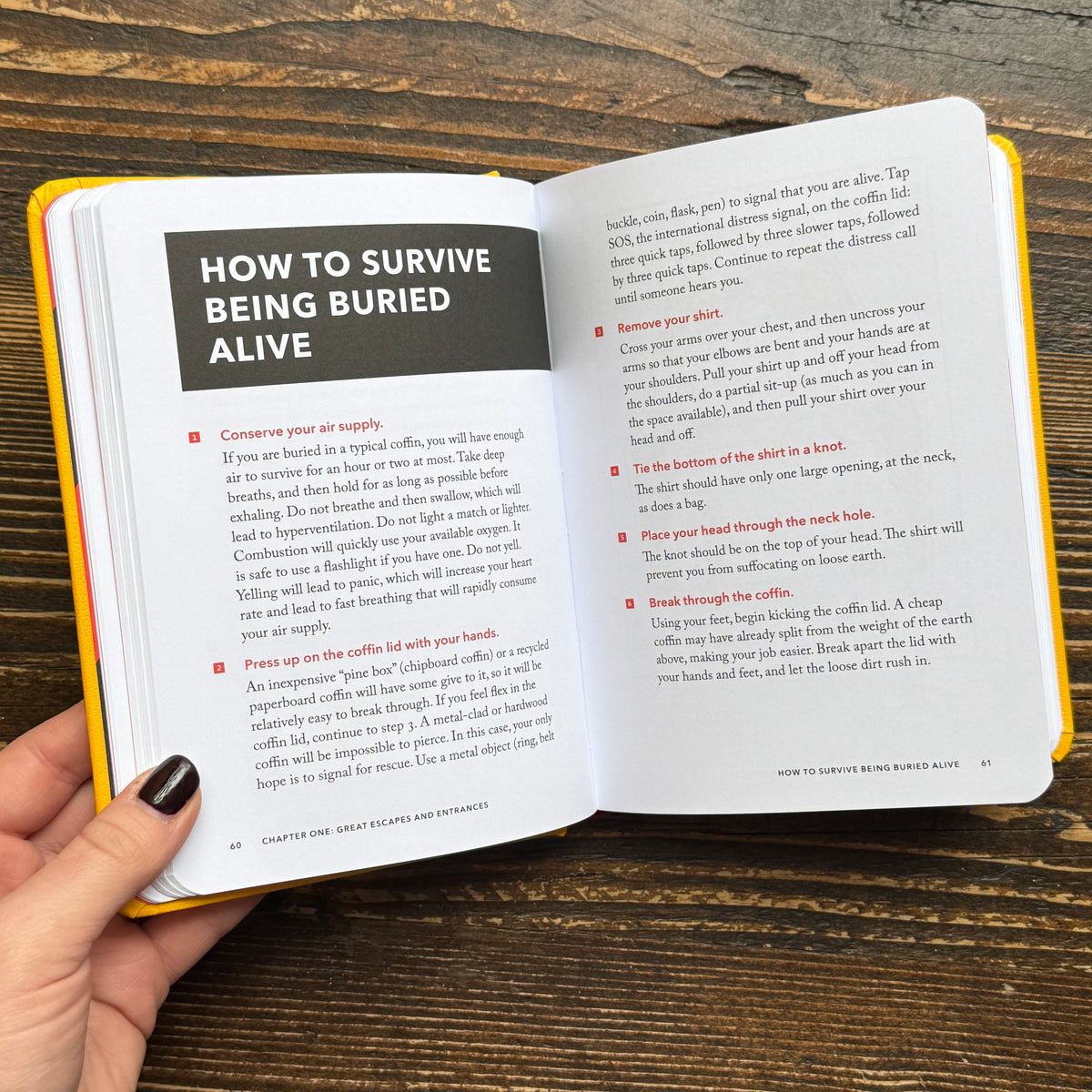The Worst Case Scenario Survival Handbook