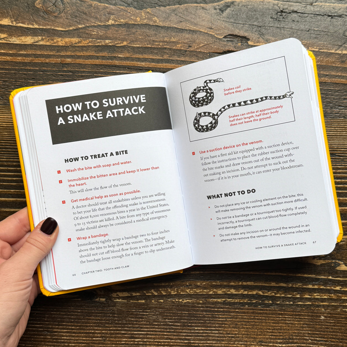 The Worst Case Scenario Survival Handbook