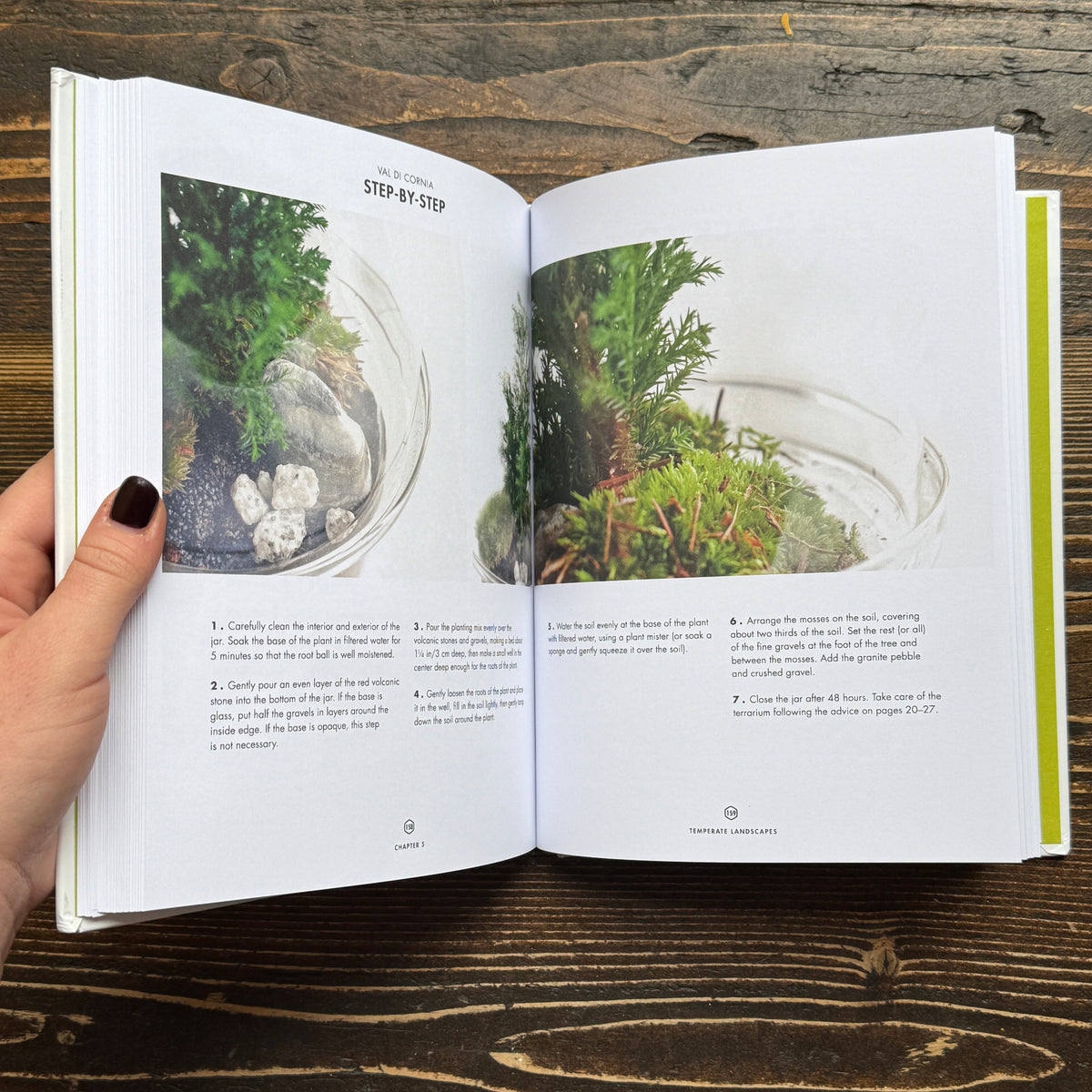 Terrarium: 33 Glass Gardens to Make Your Own