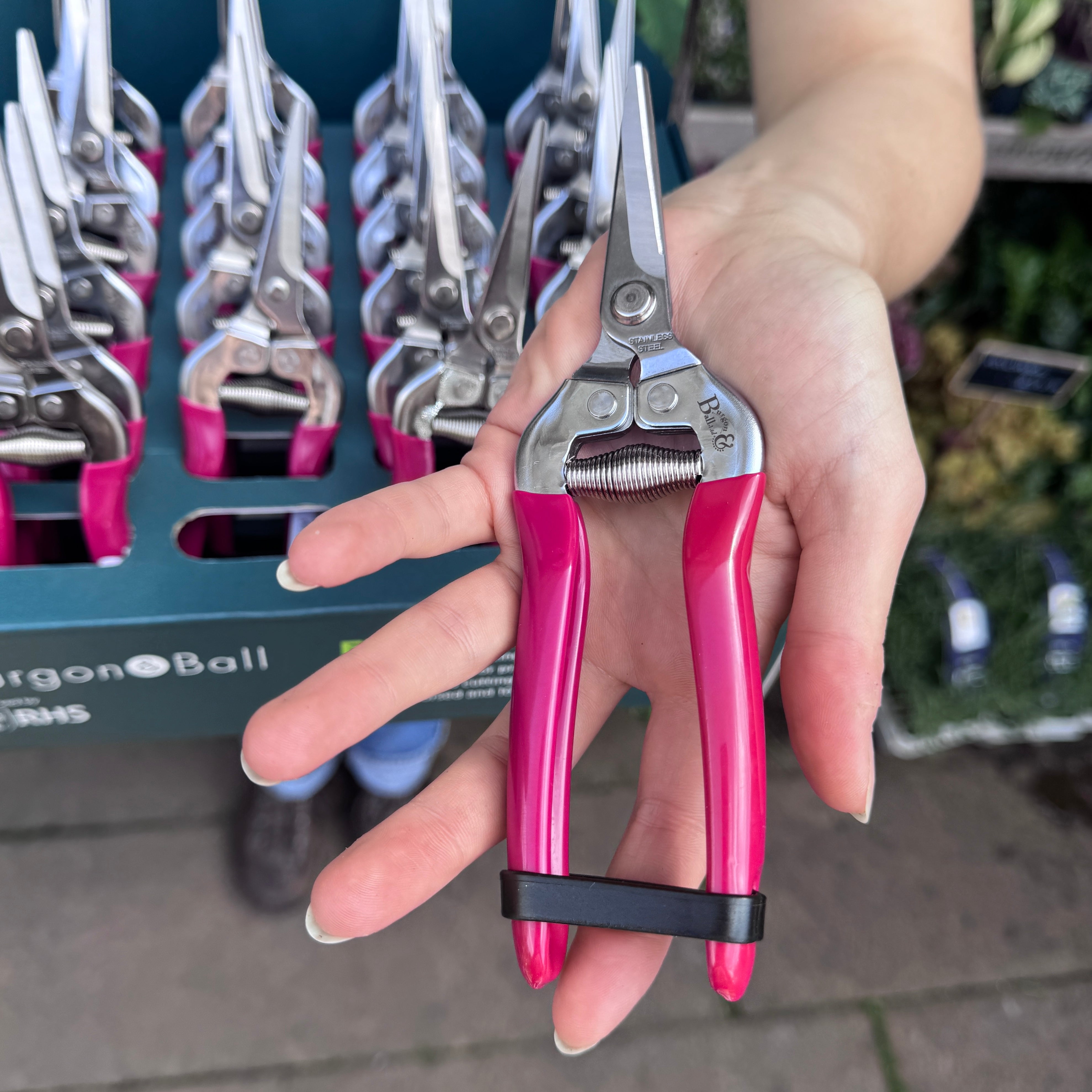 Flower & Fruit Snip - RHS Endorsed