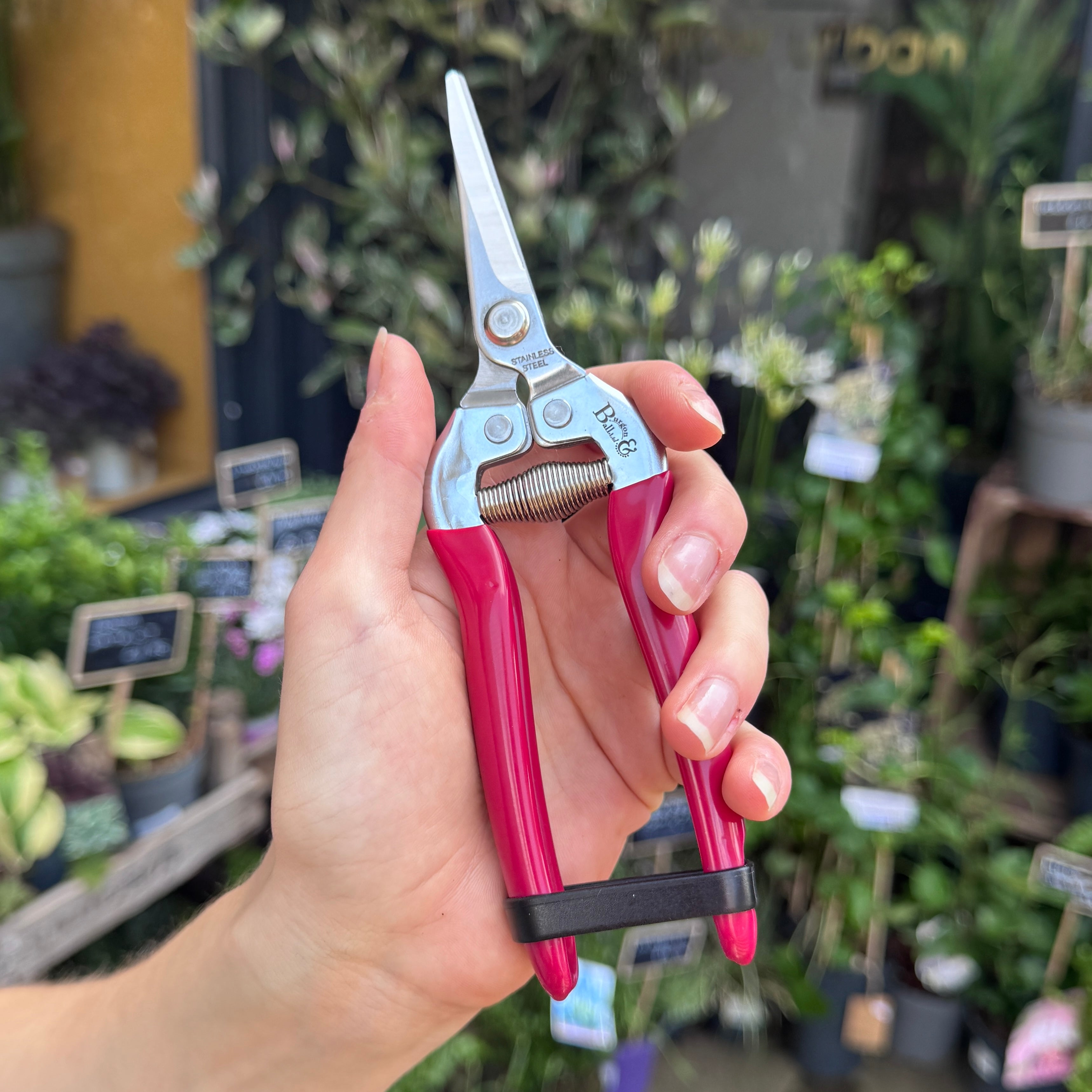 Flower & Fruit Snip - RHS Endorsed