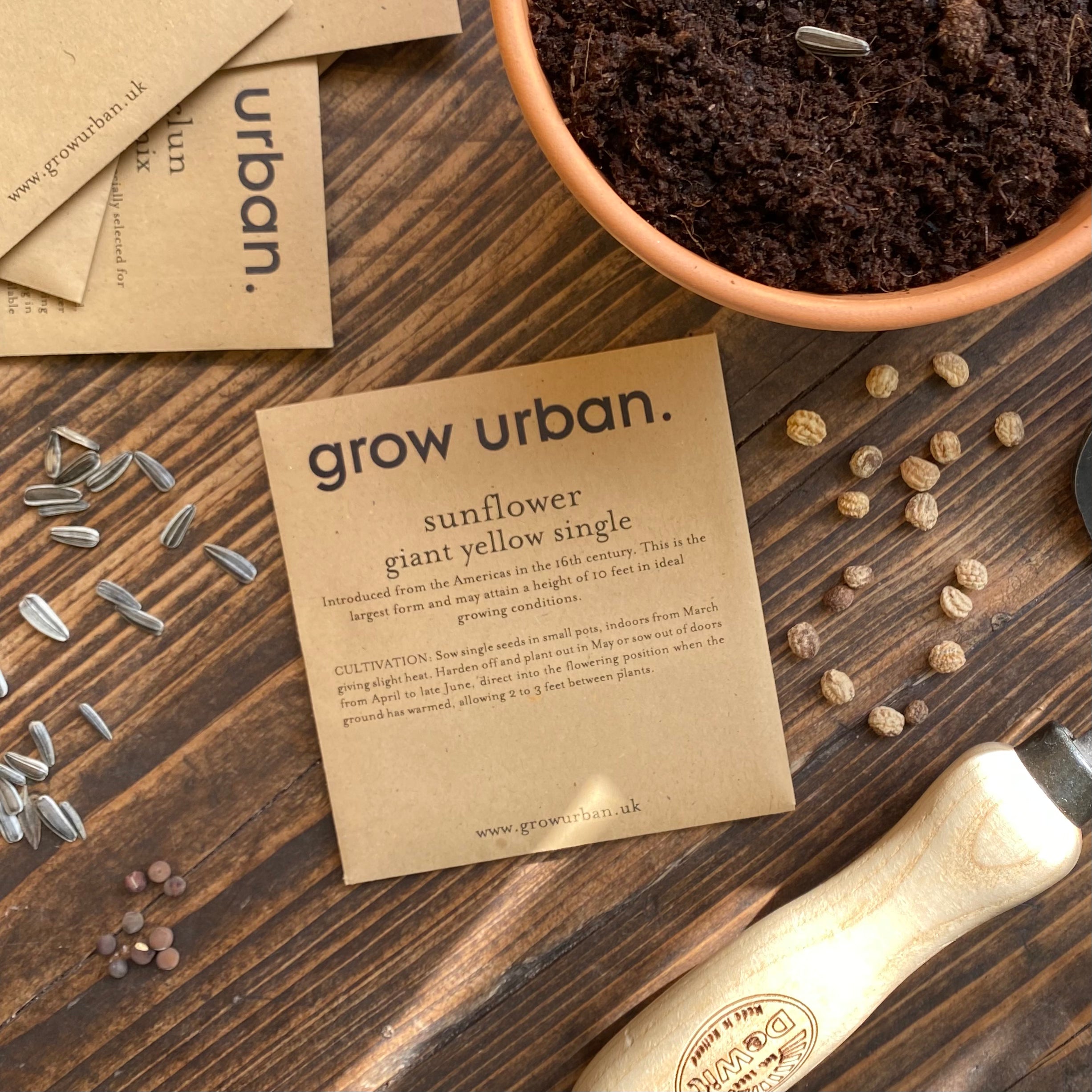 grow urban. Seeds - Flowers