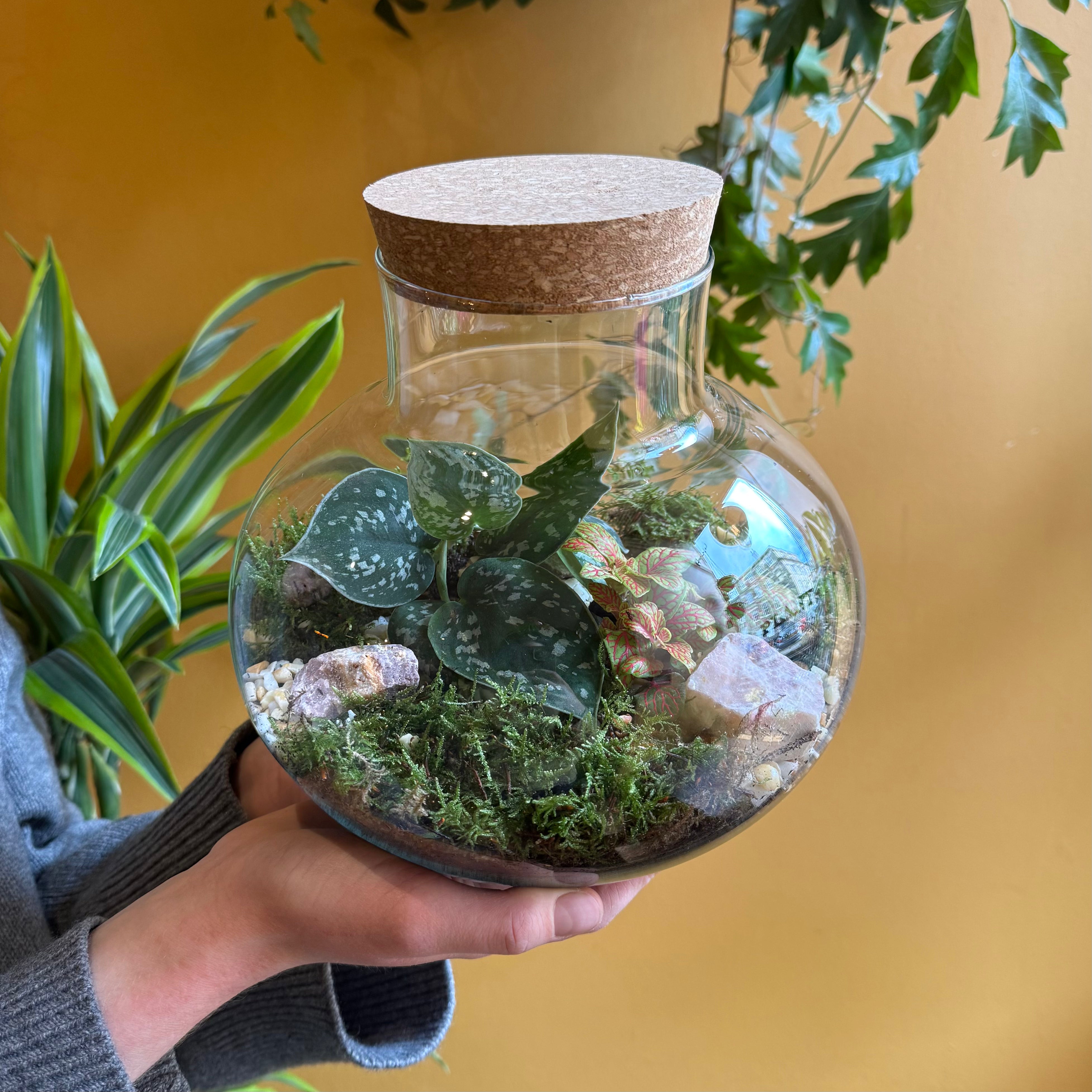 Oblate Globe Terrarium