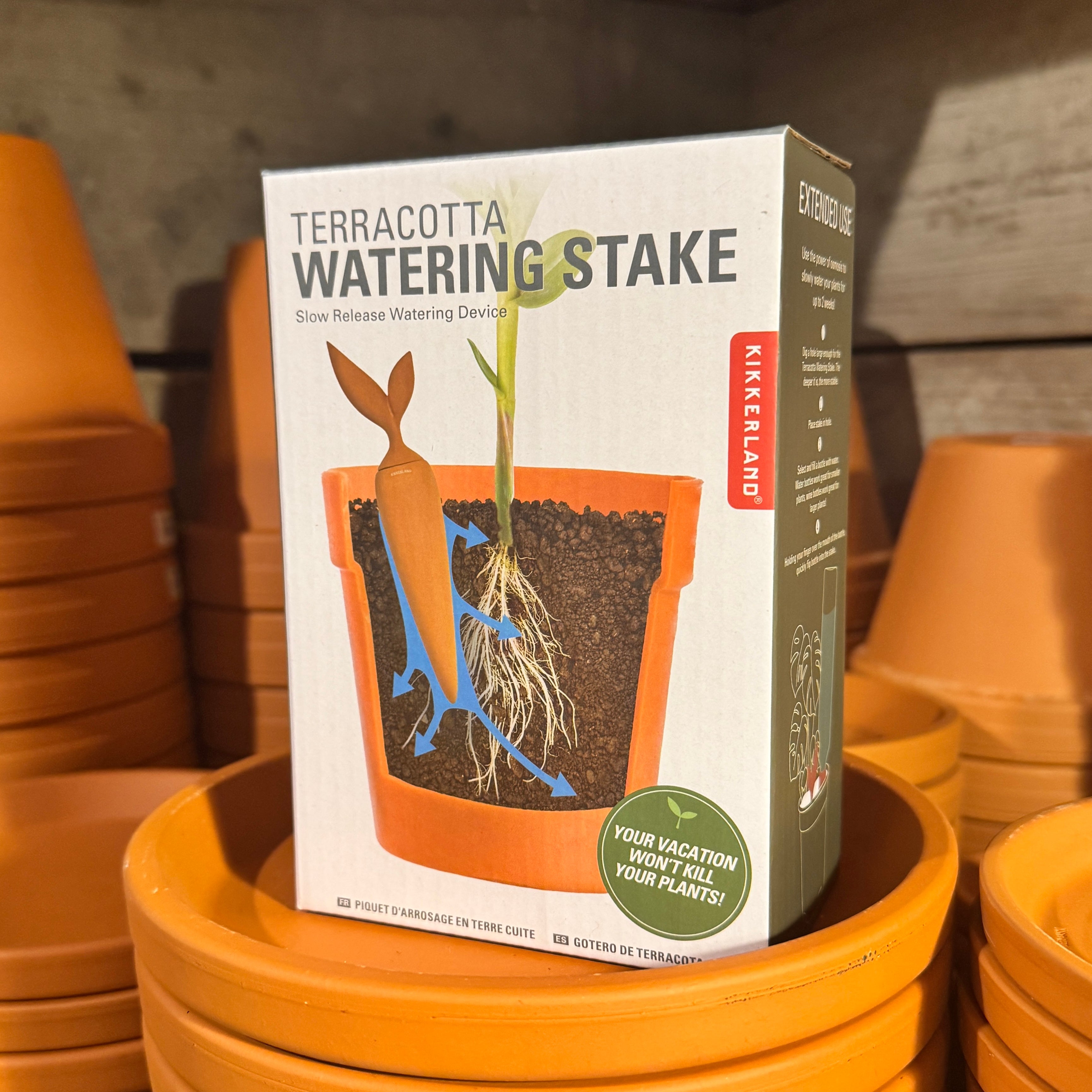 Terracotta Watering Stake