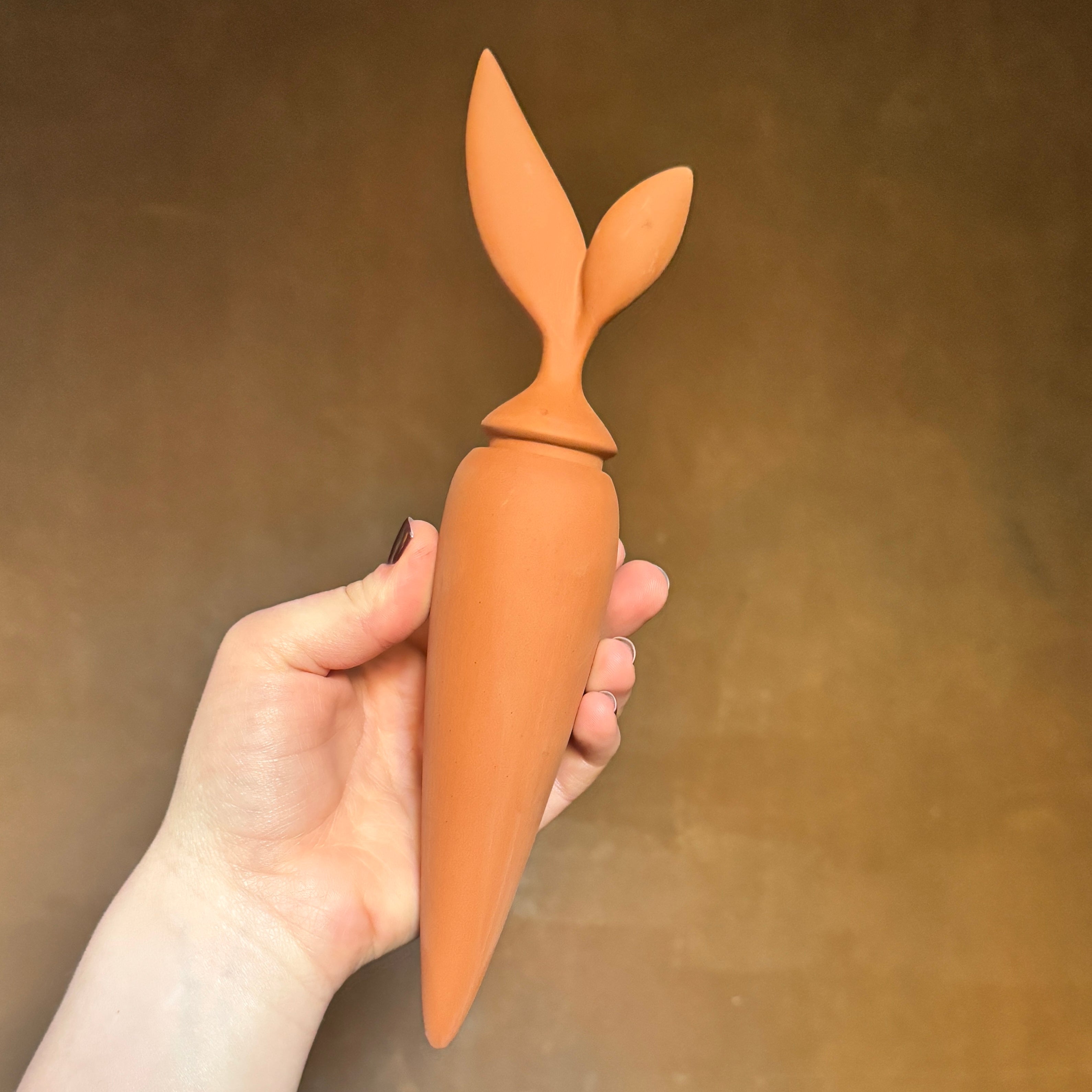 Terracotta Watering Stake