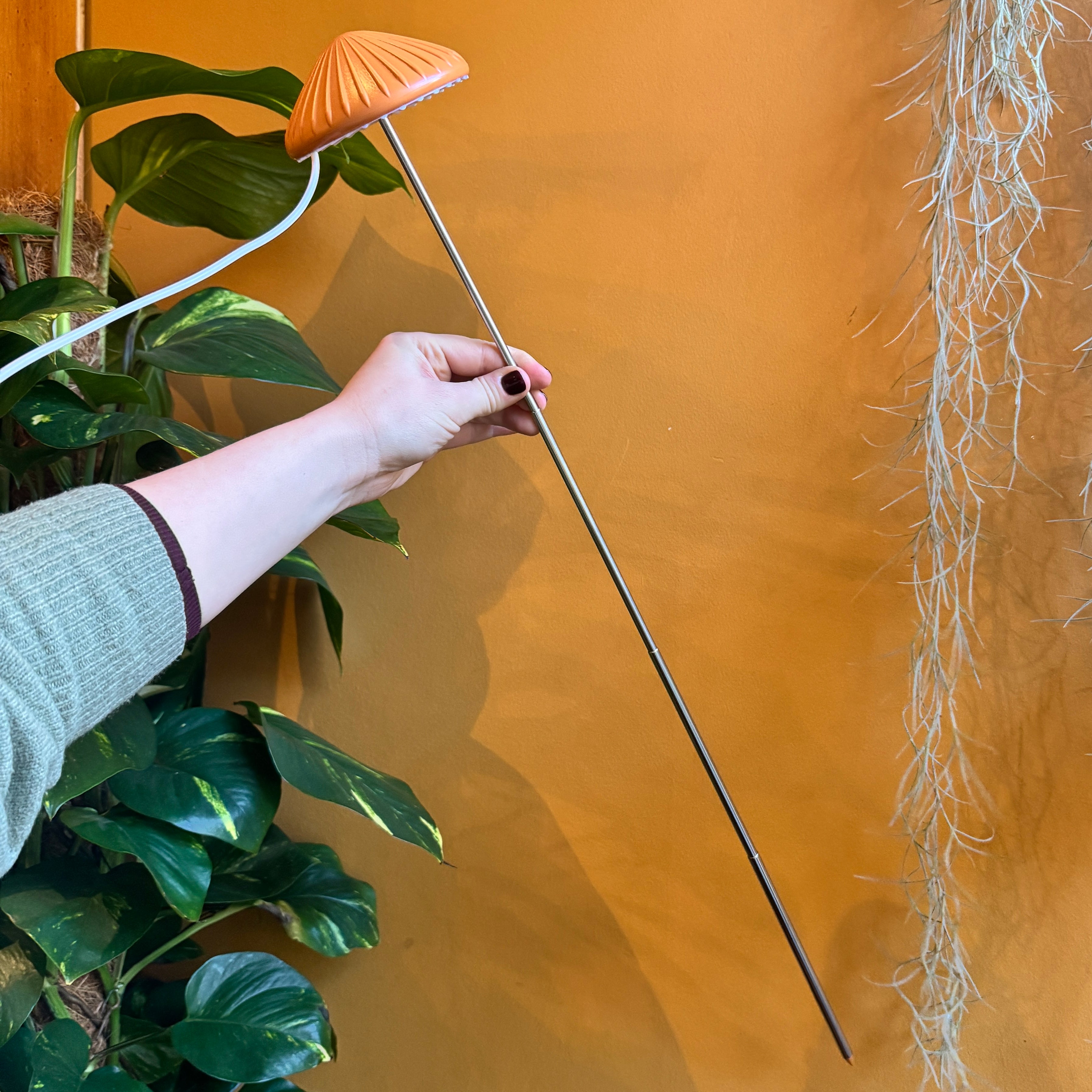 Mushroom Grow Light with Adjustable Stake