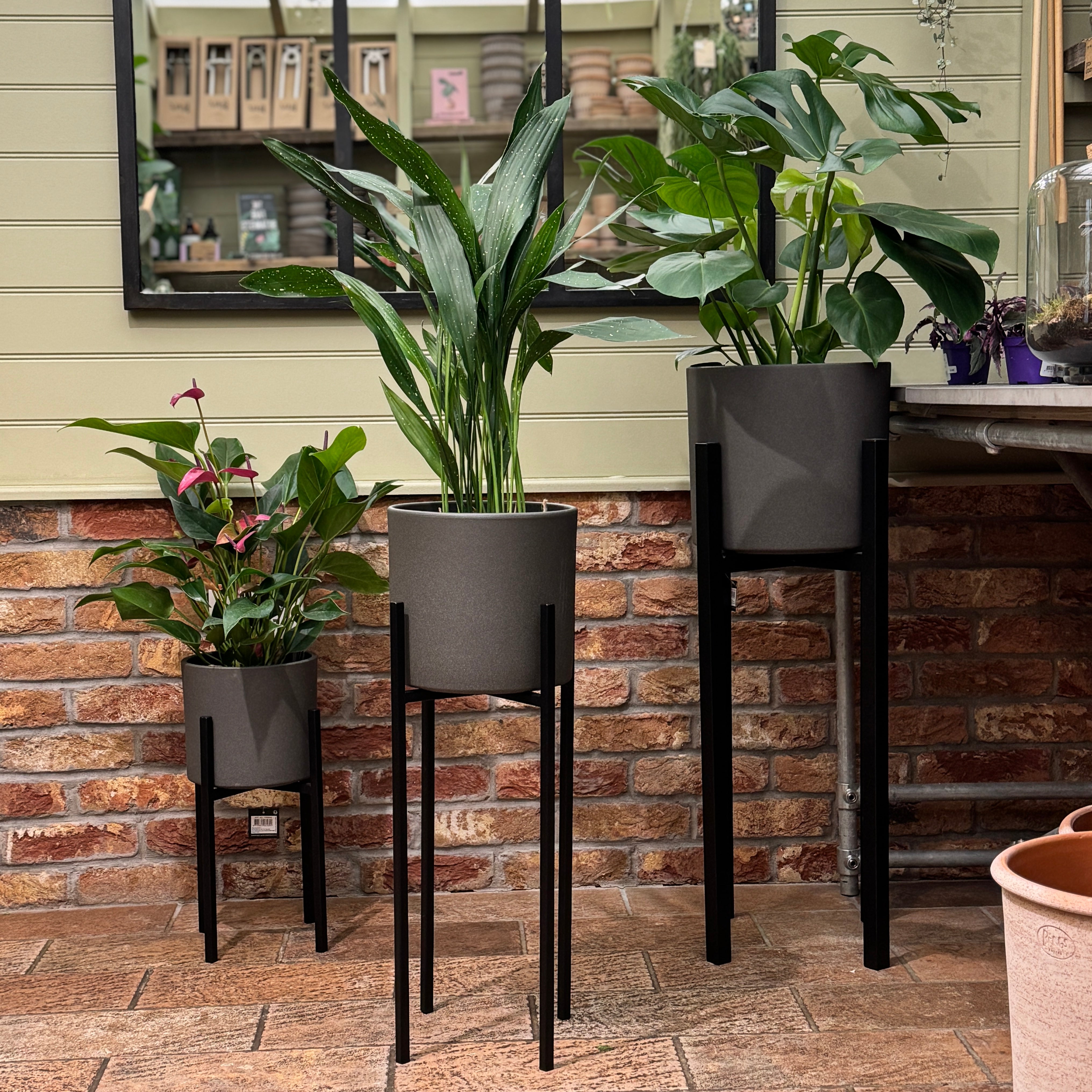 Black Indoor Plant Stand