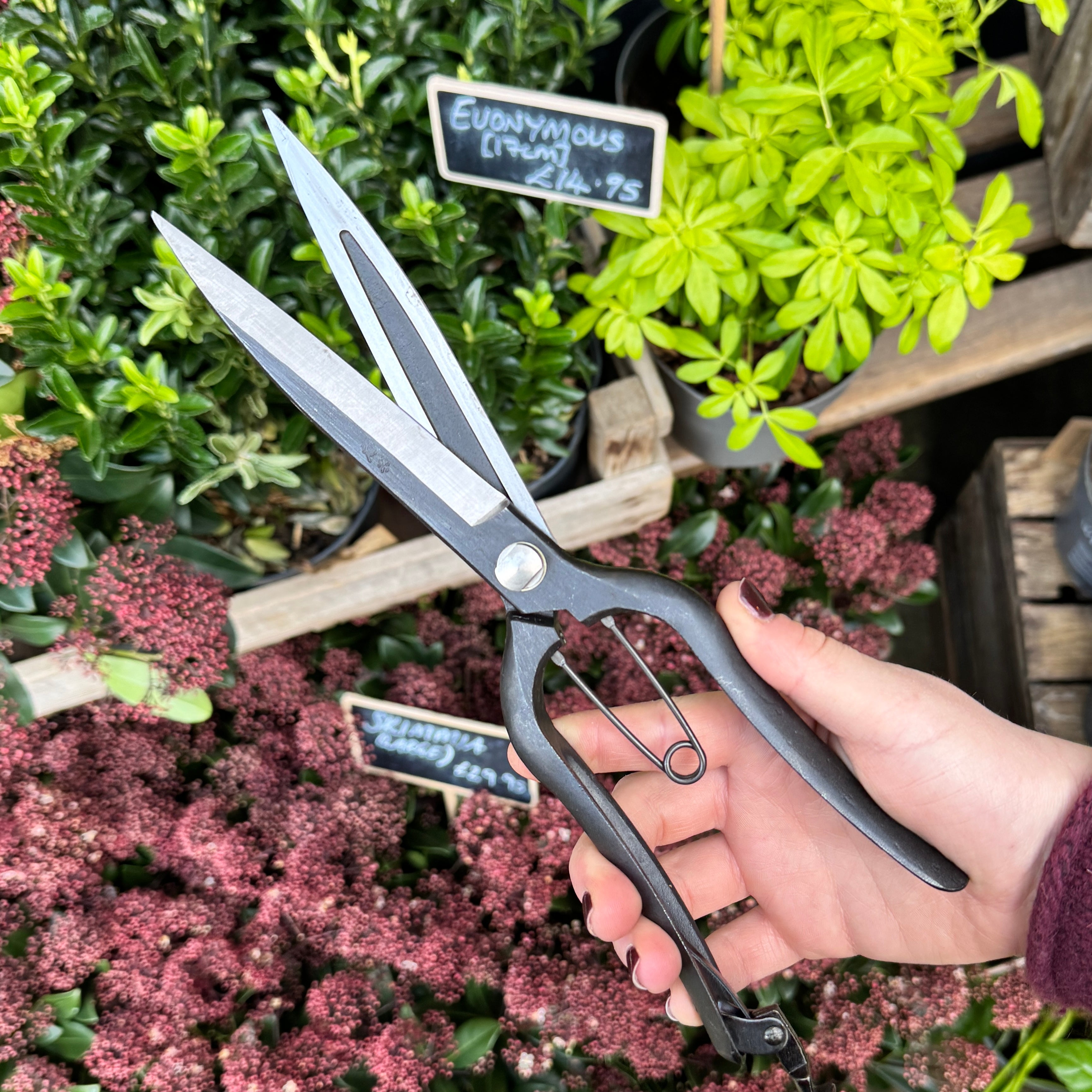 Niwaki Sentei Topiary Clippers