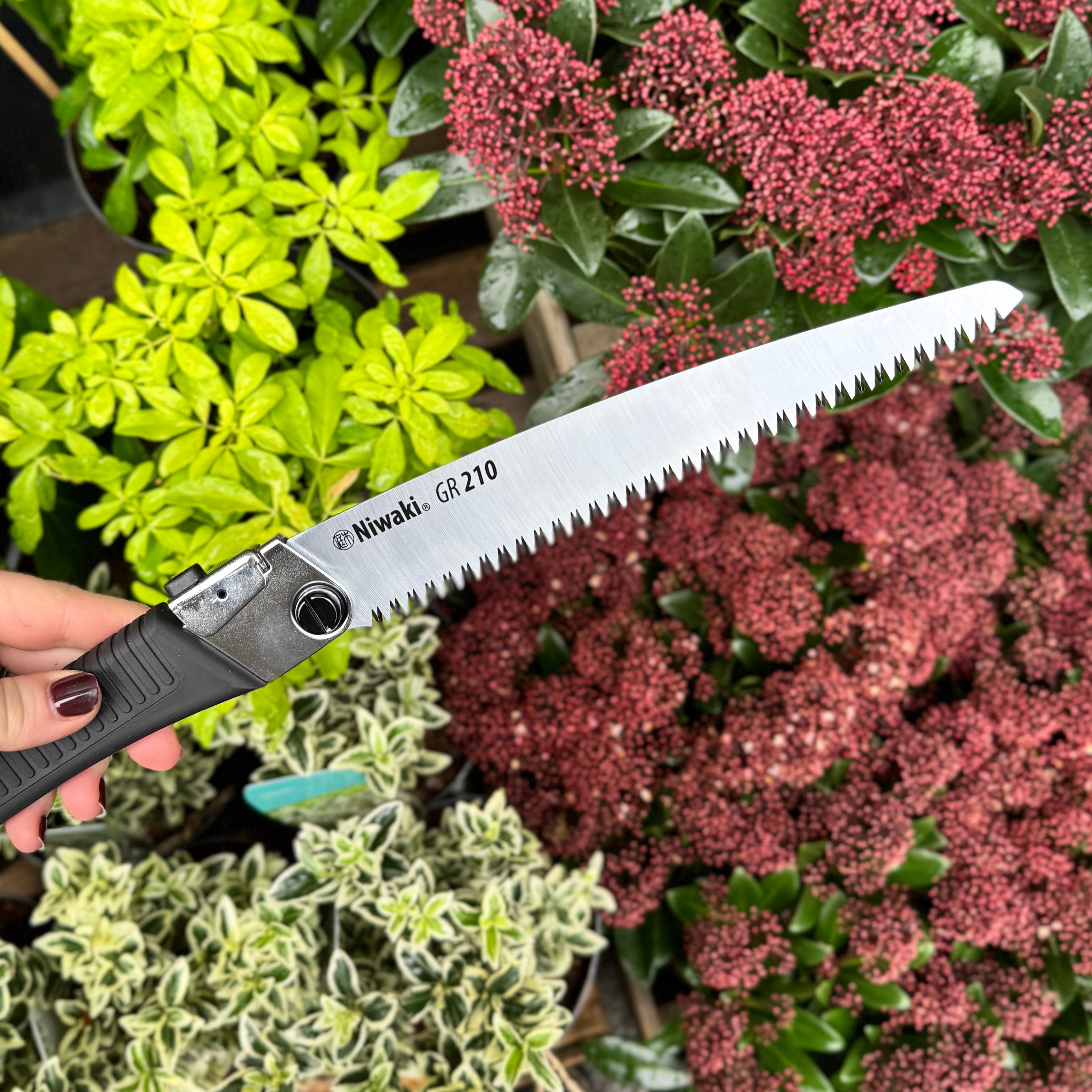 Niwaki GR-210 Folding Saw