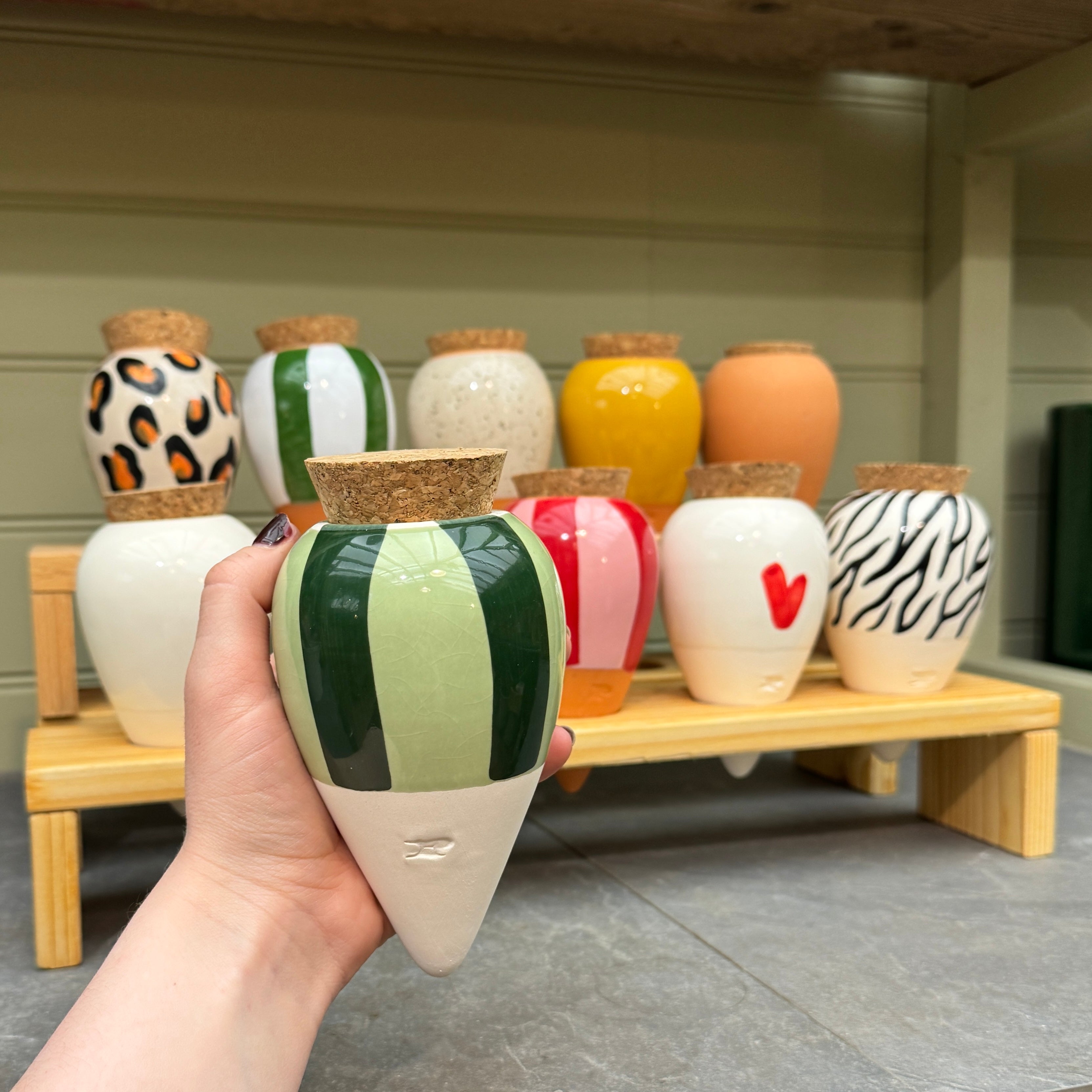 Pepin Ollas | Natural Plant Watering System