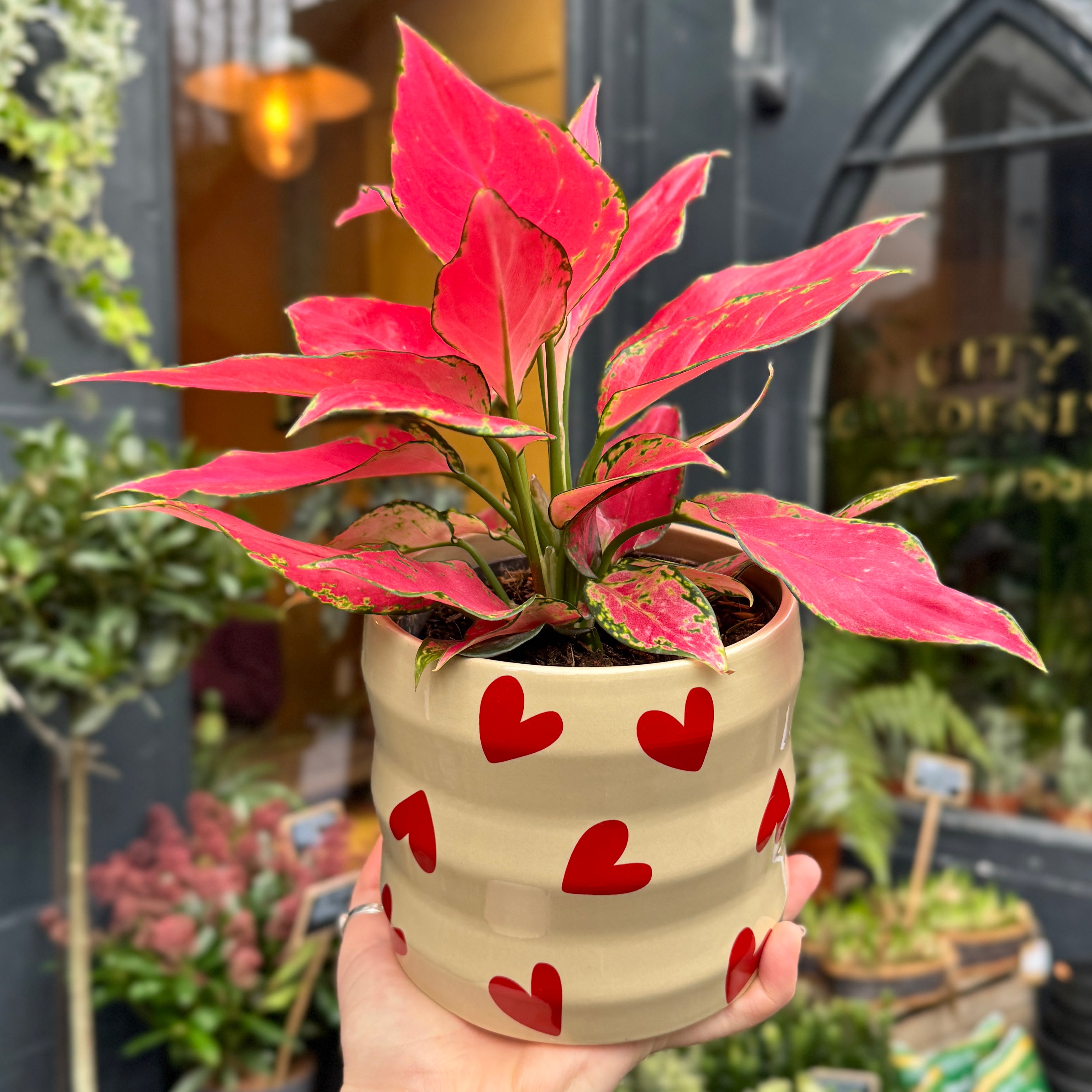 Ceramic Hearts Plant Pot – Limited Edition (12cm)