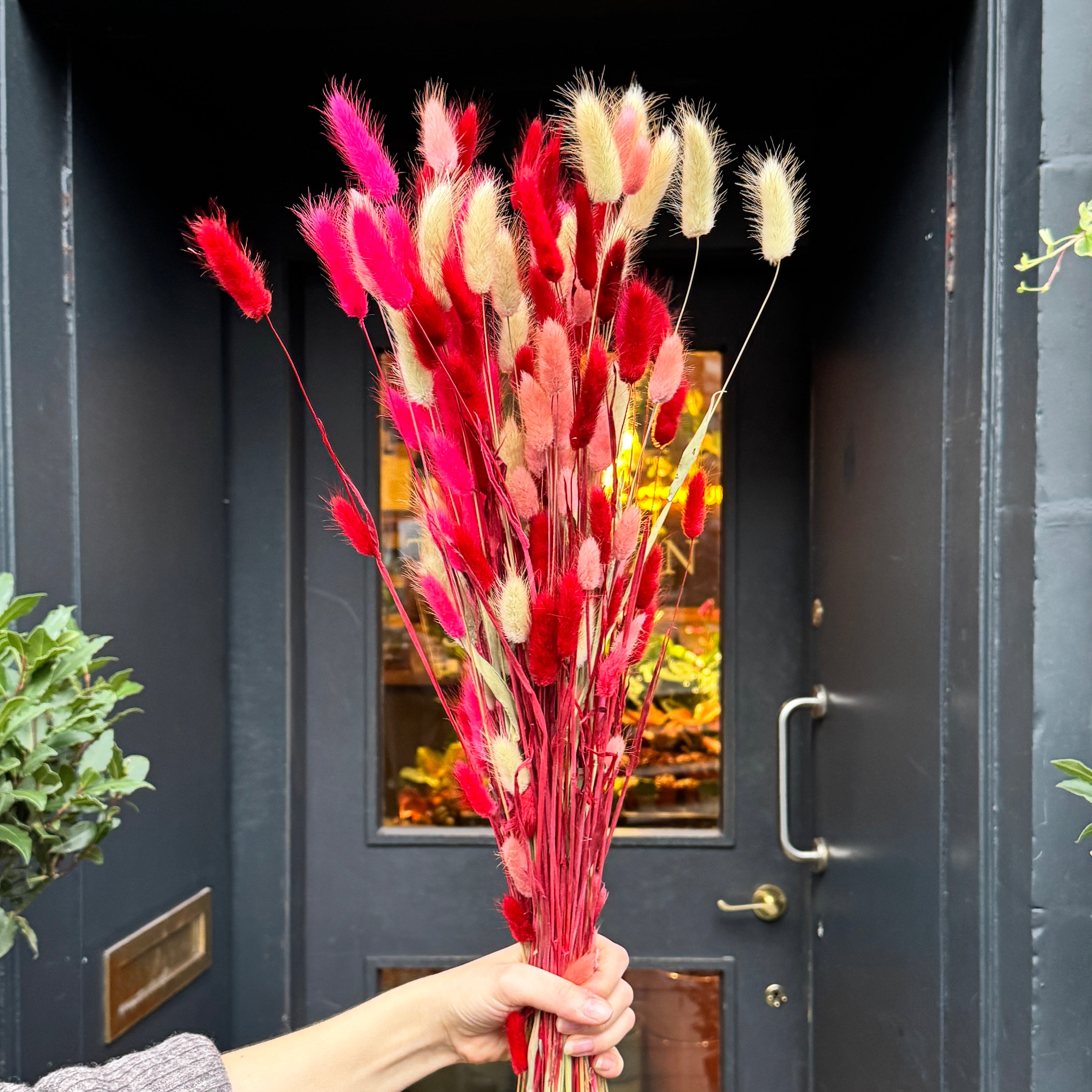 Dried Bunny Tail ‘Love Bunch’ – Blush & Red