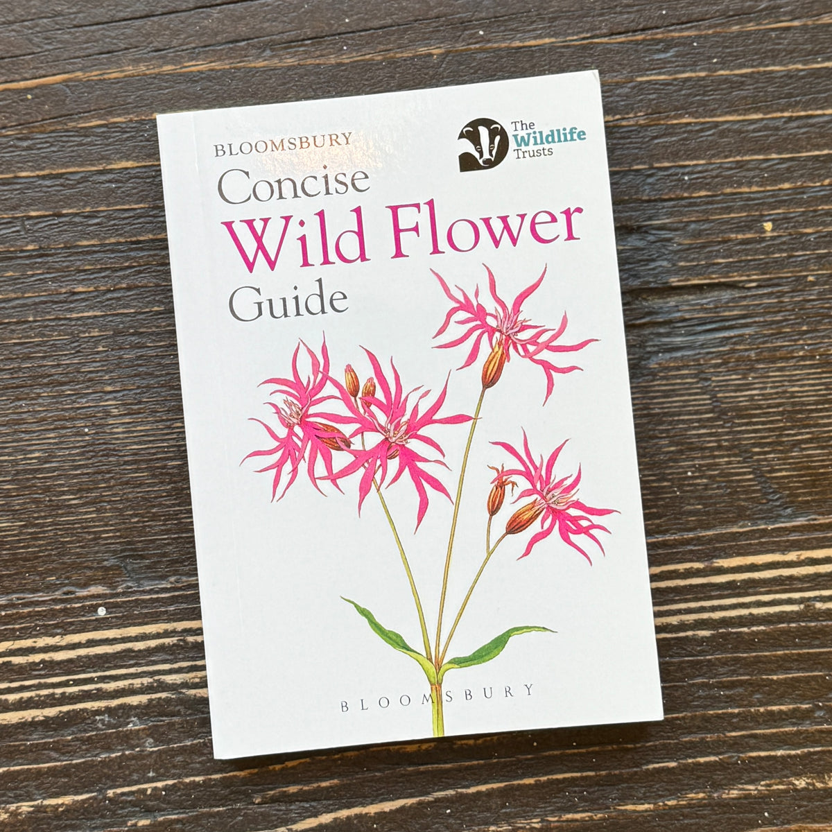 Concise Wild Flower Guide
