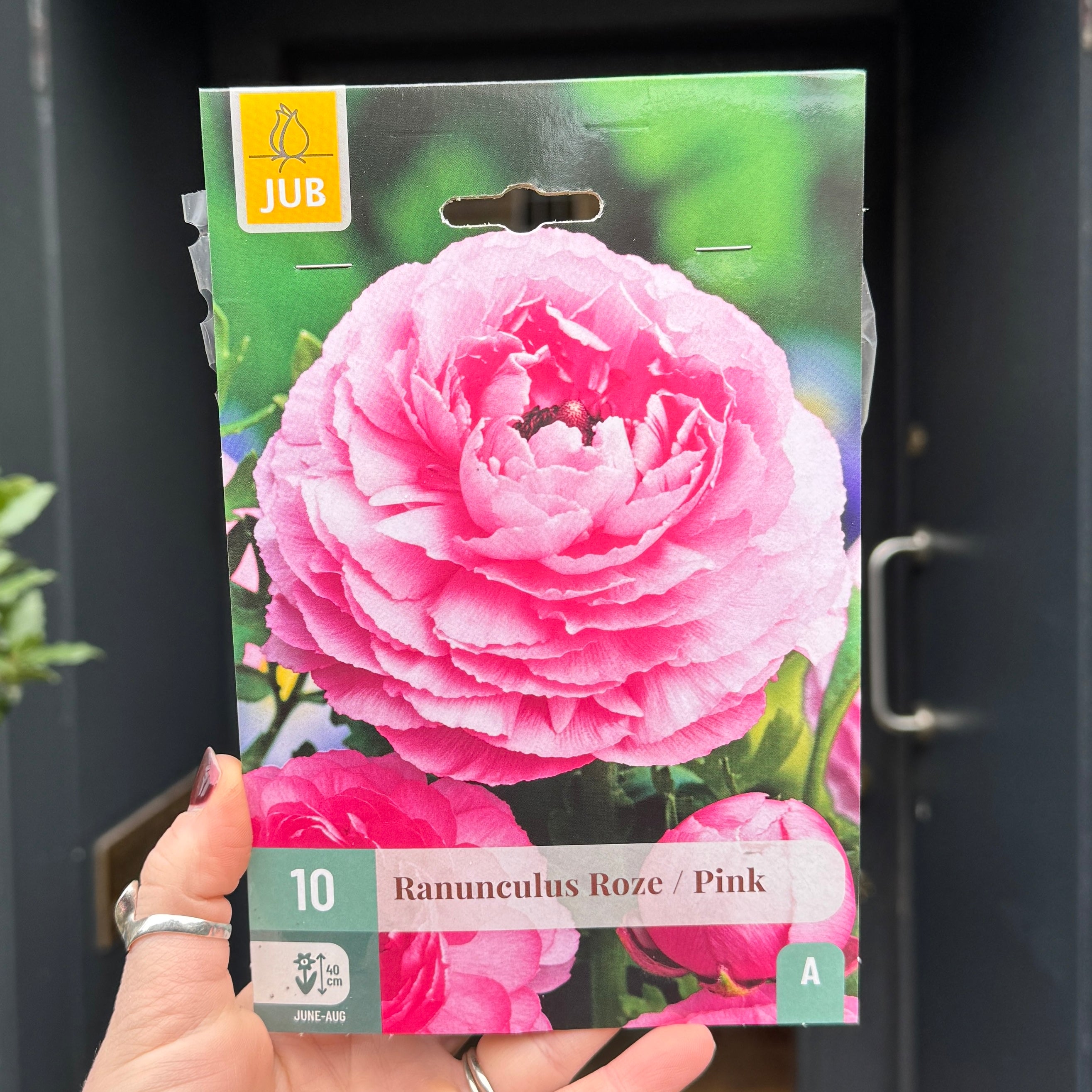 Ranunculus Bulbs