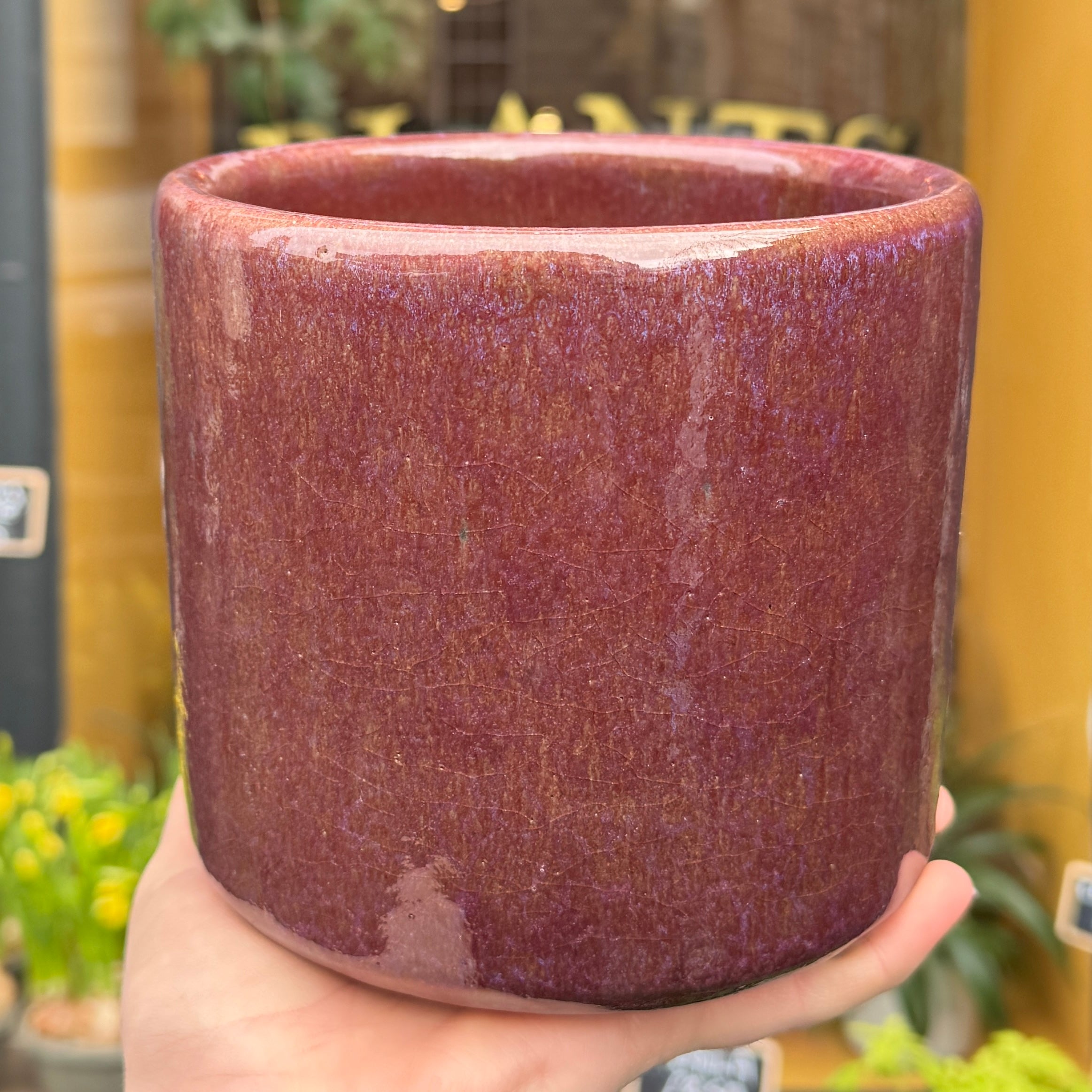 Javea Glazed Pink Plant Pot | 15cm