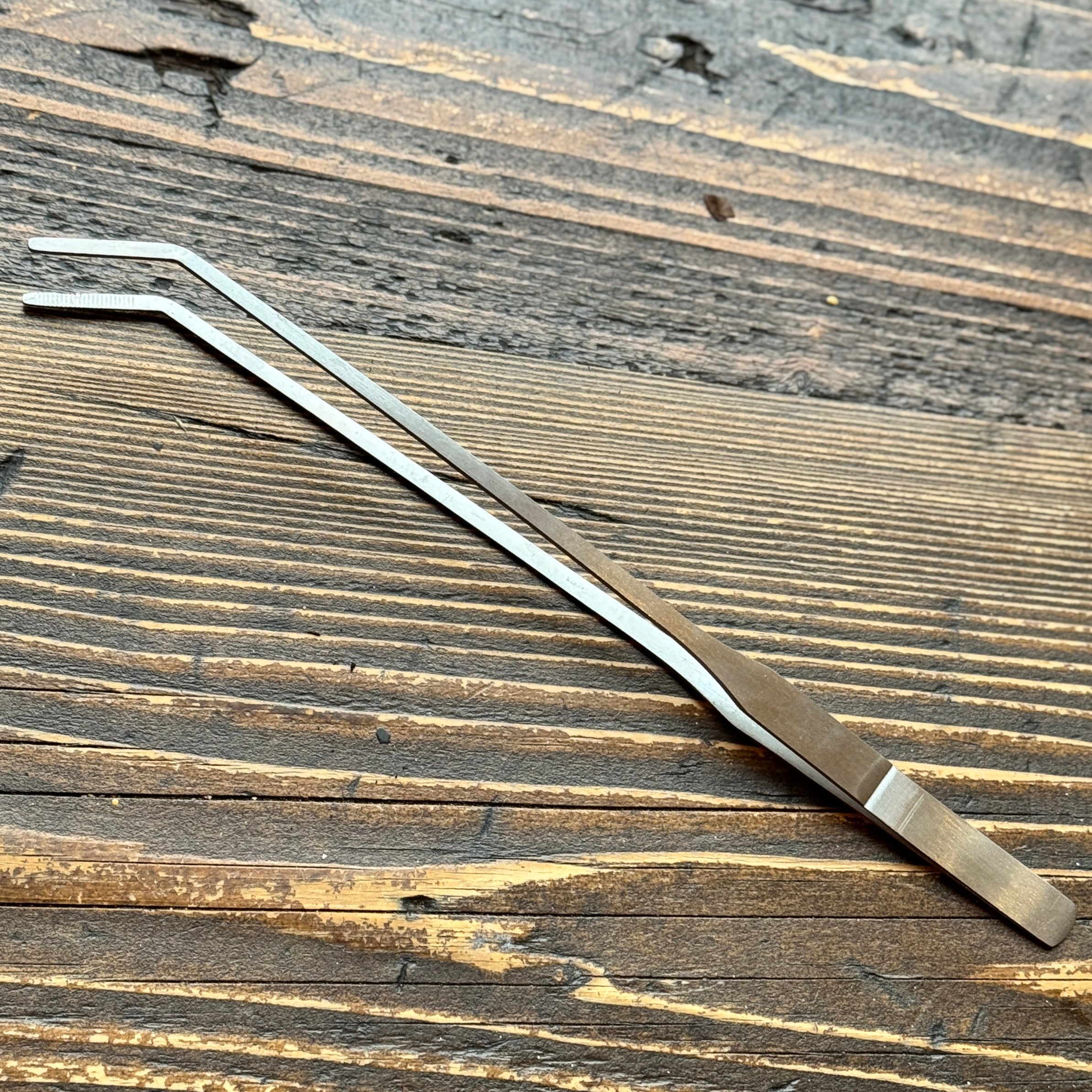 Terrarium Angled Tweezers