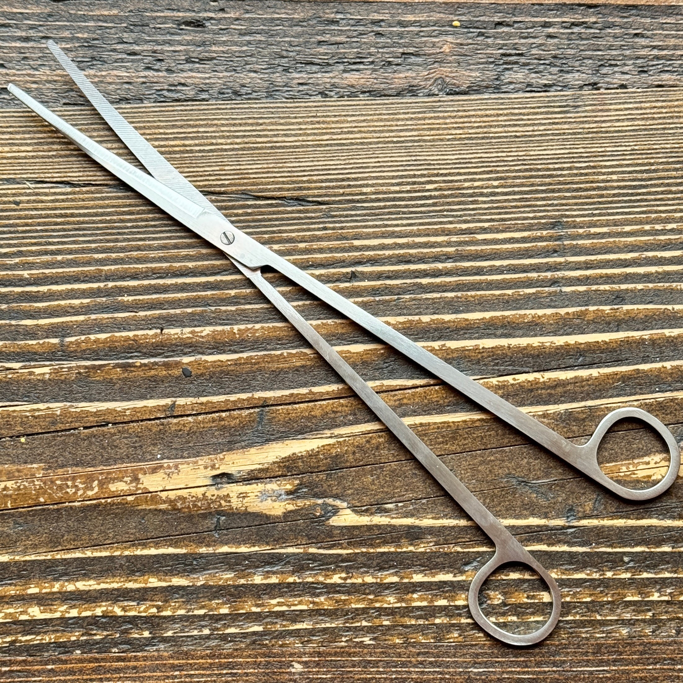 Terrarium Angled Scissors