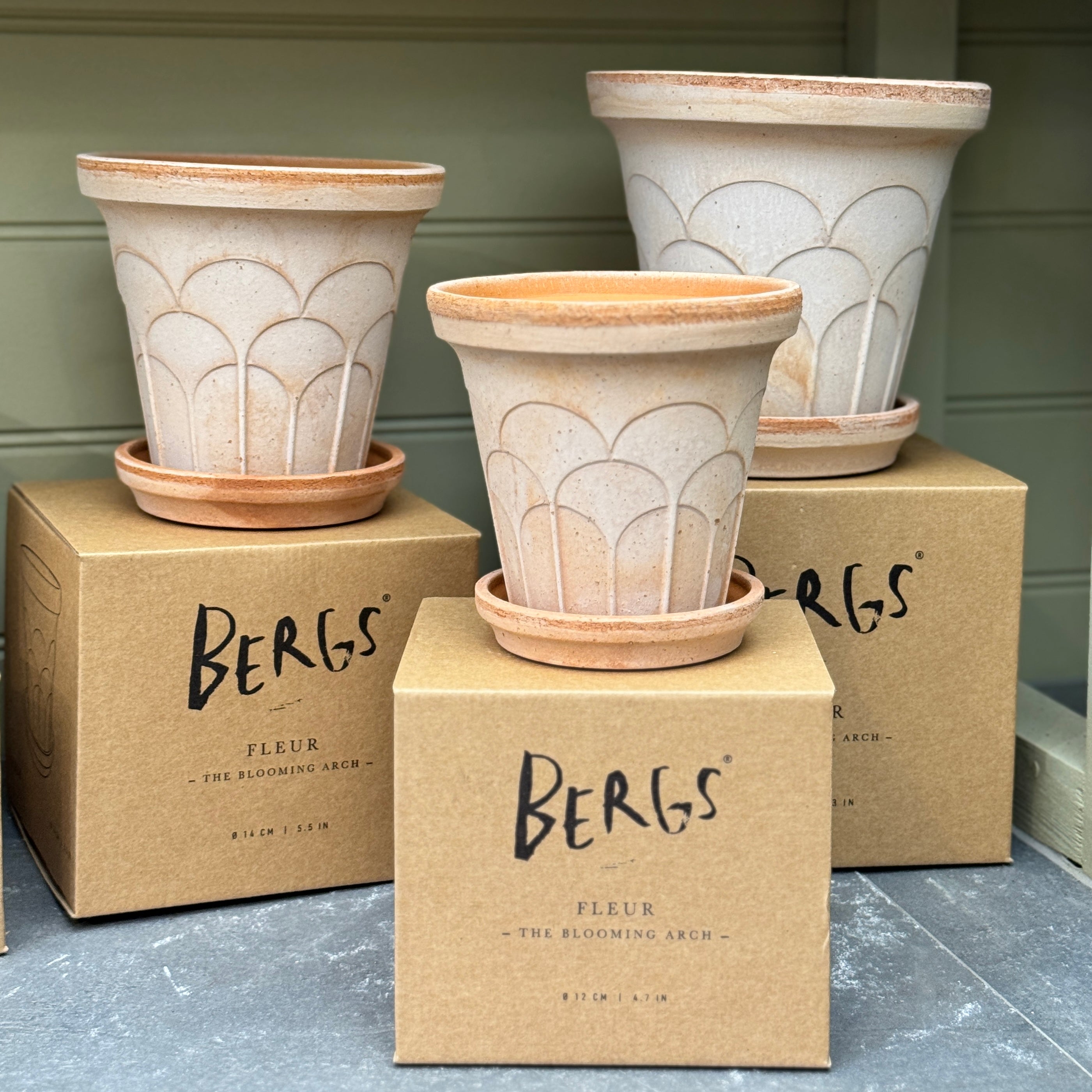 Bergs Potter Fleur Pot & Saucer Set - Rosa Terracotta