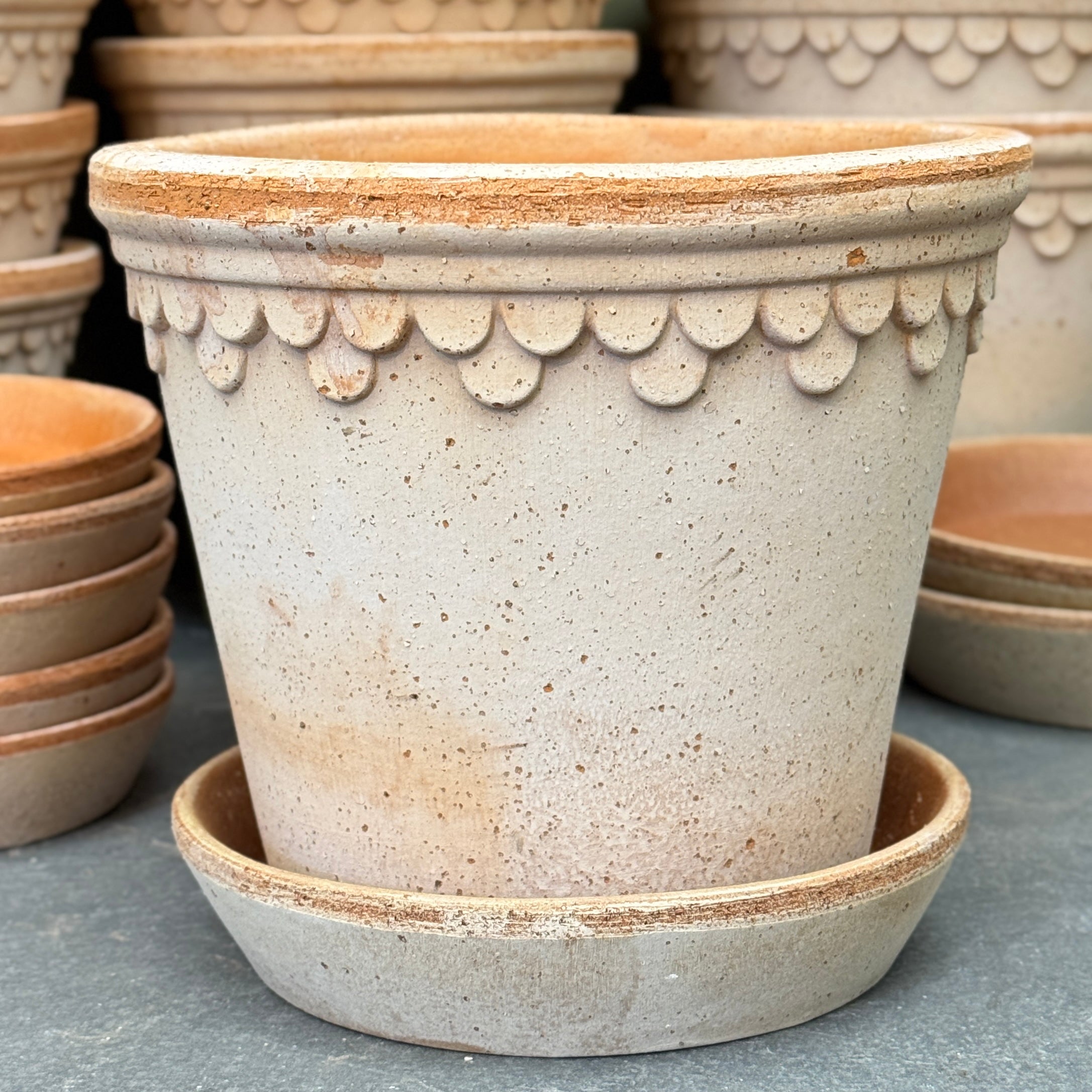 Bergs Potter Copenhagen Pot & Saucer Set - Rosa Terracotta