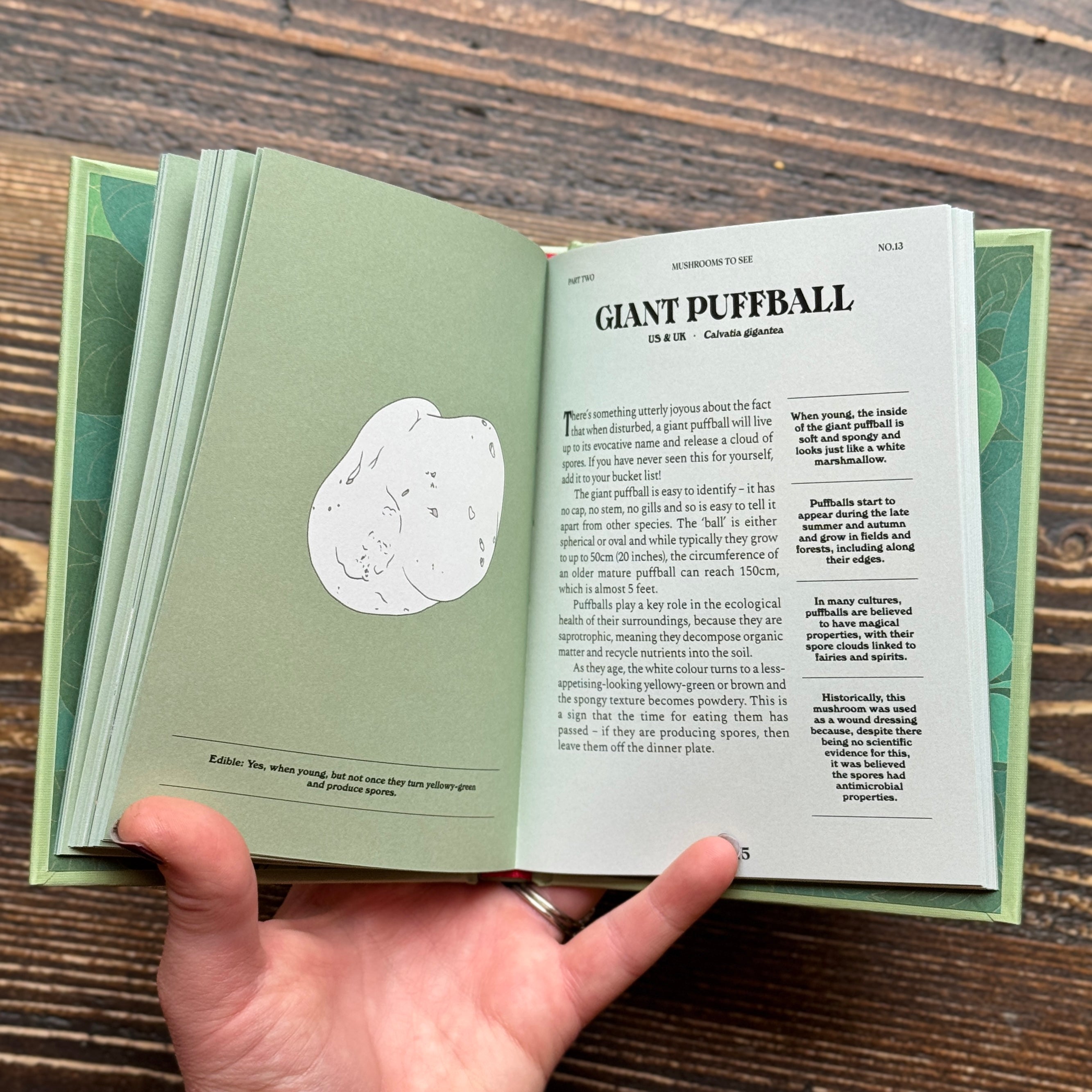 Mushrooms: A Guide for the Curious