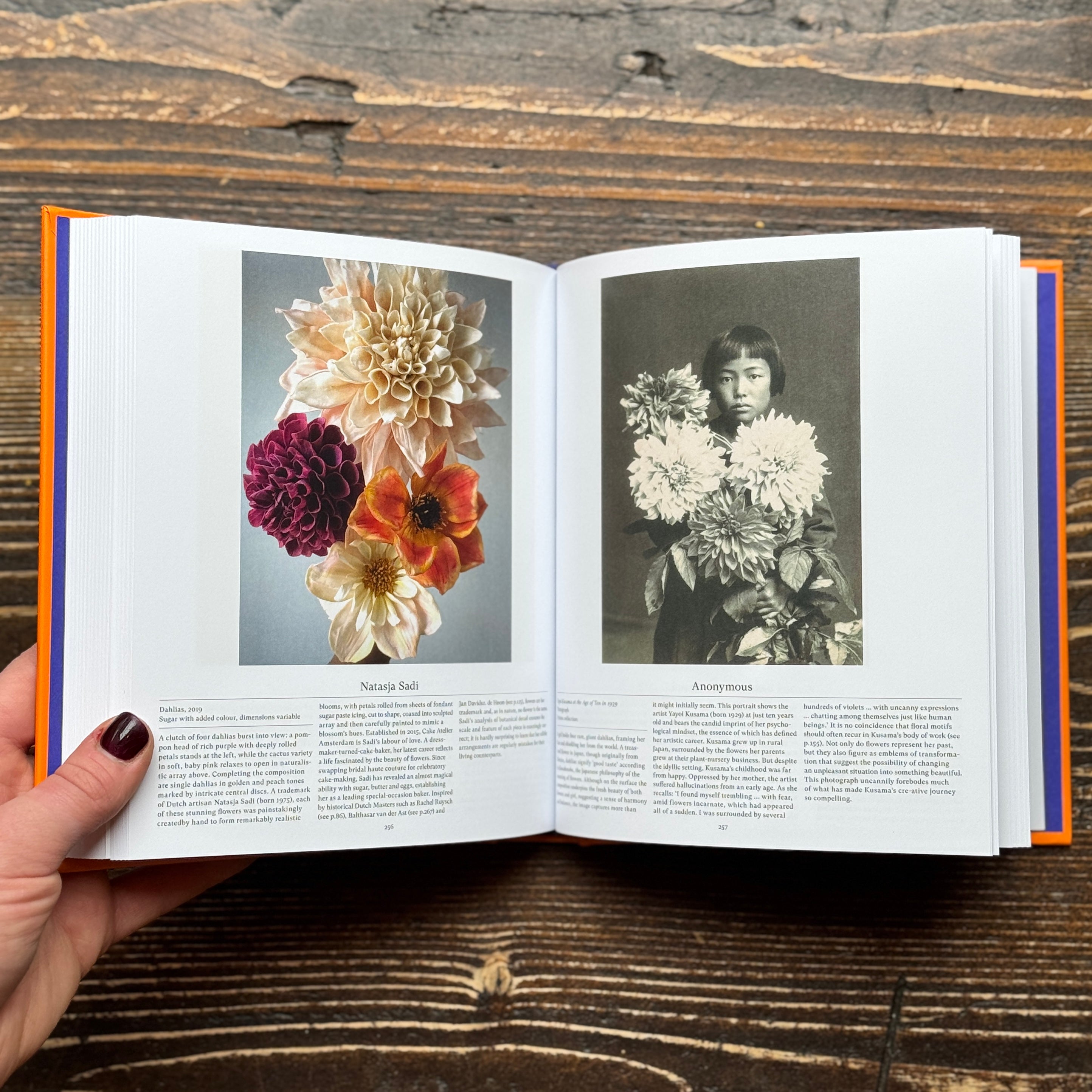 Flower: Exploring the World in Bloom (Compact Edition)