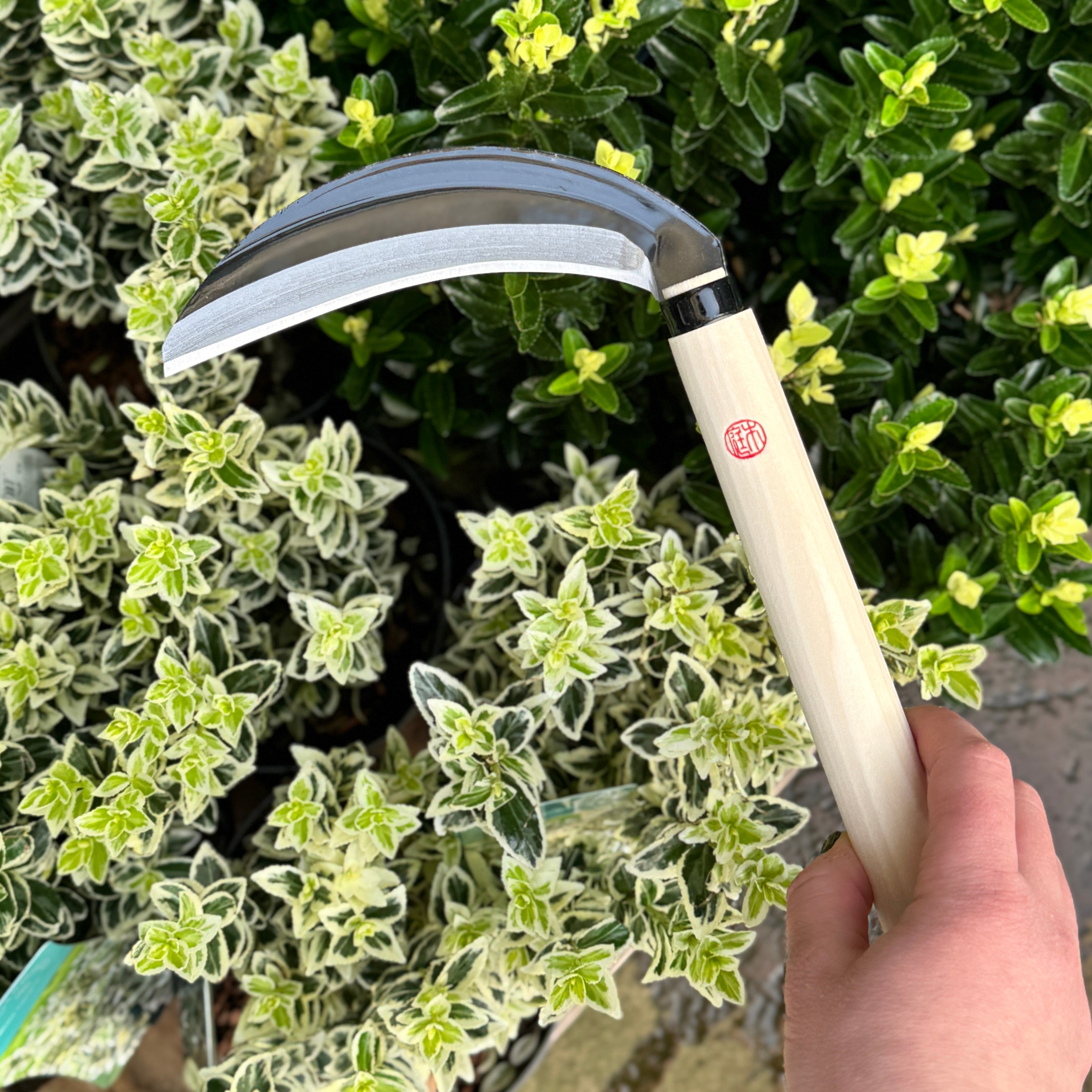 Niwaki Garden Sickle