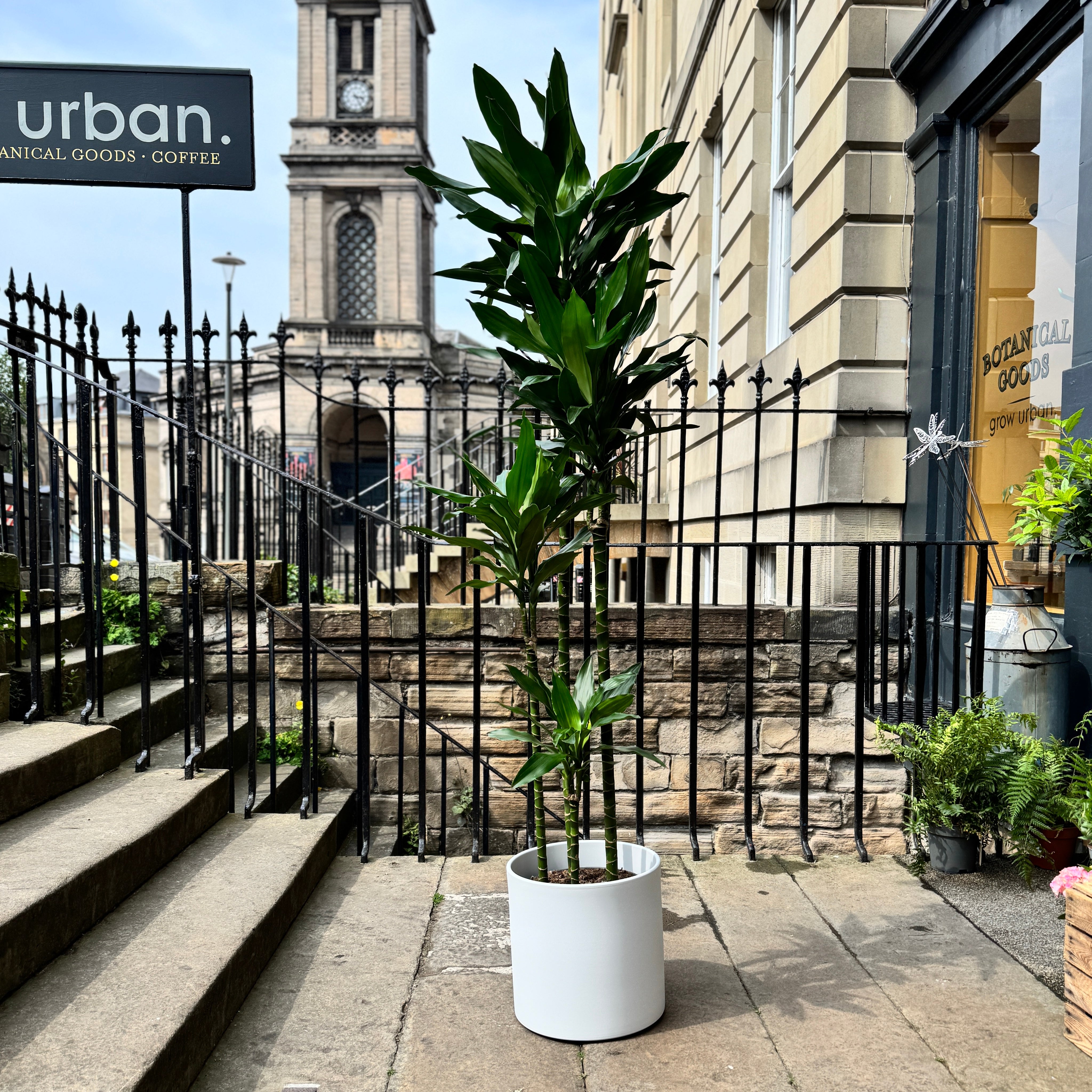 Matt Pot - White | 33cm