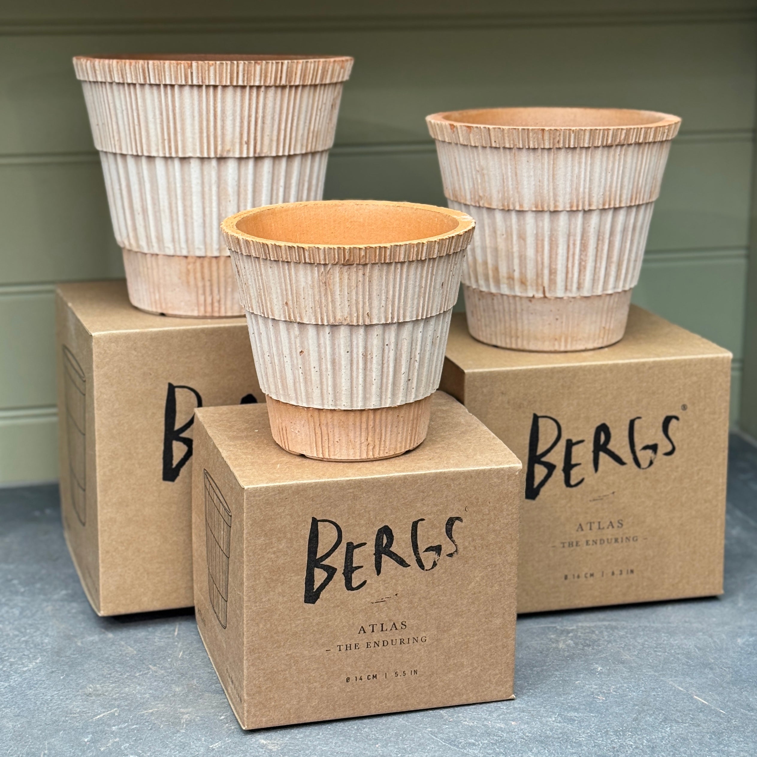 Bergs Potter Atlas Pot & Saucer Set - Rosa Terracotta