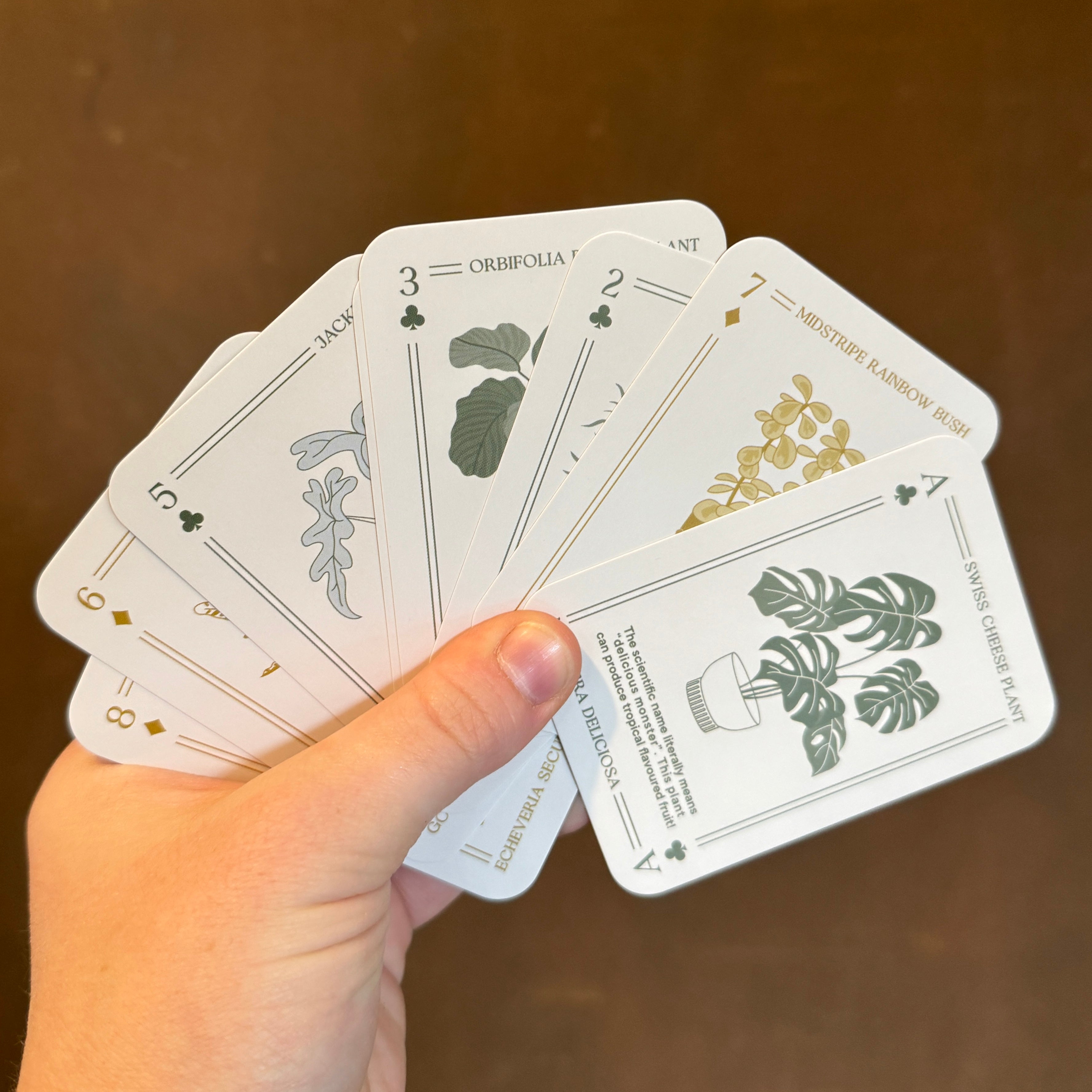 Houseplant Playing Cards | The Urban Gardener