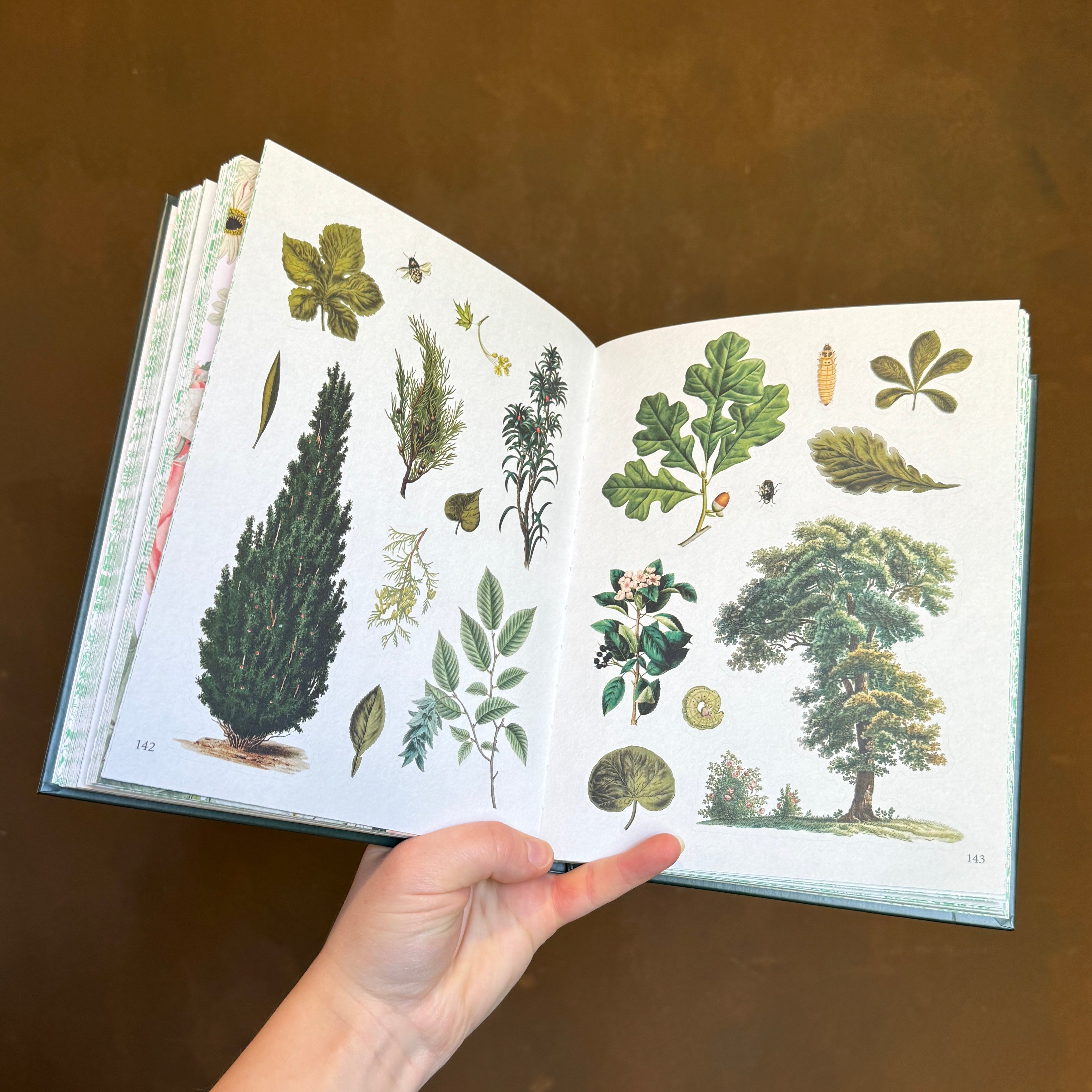 The Botanist's Sticker Anthology