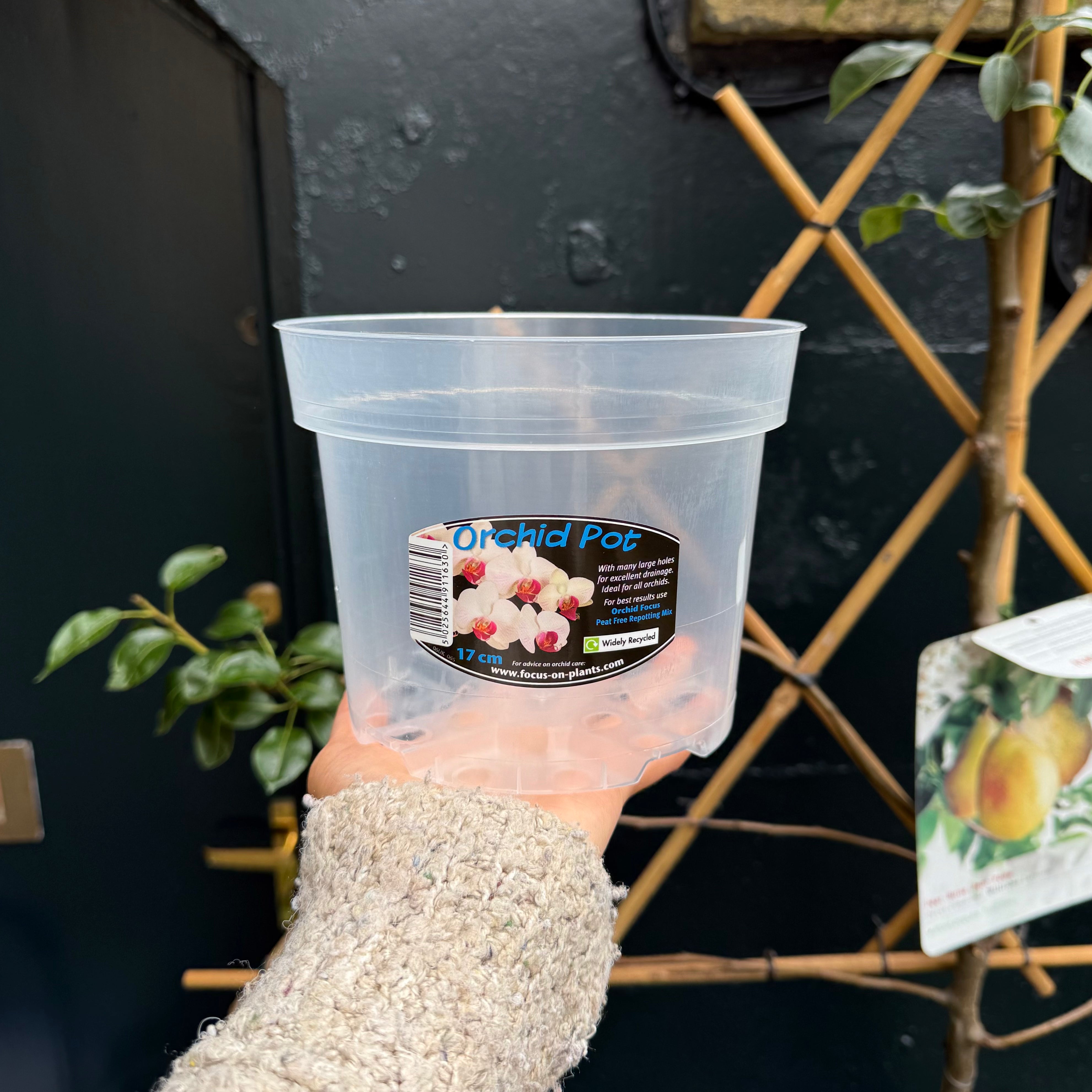 Orchid Pots – Translucent Pots for Phalaenopsis & Other Orchids