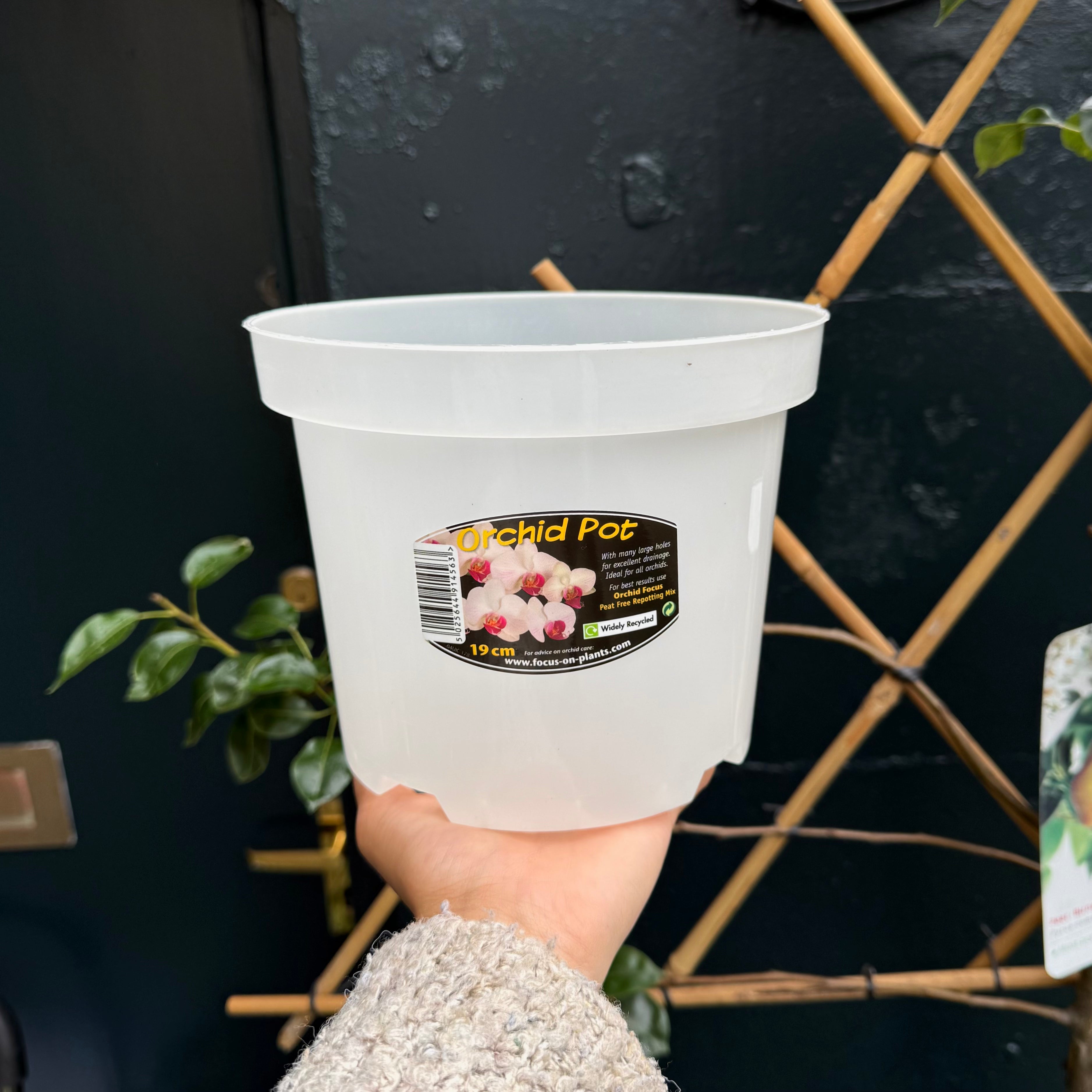 Orchid Pots – Translucent Pots for Phalaenopsis & Other Orchids