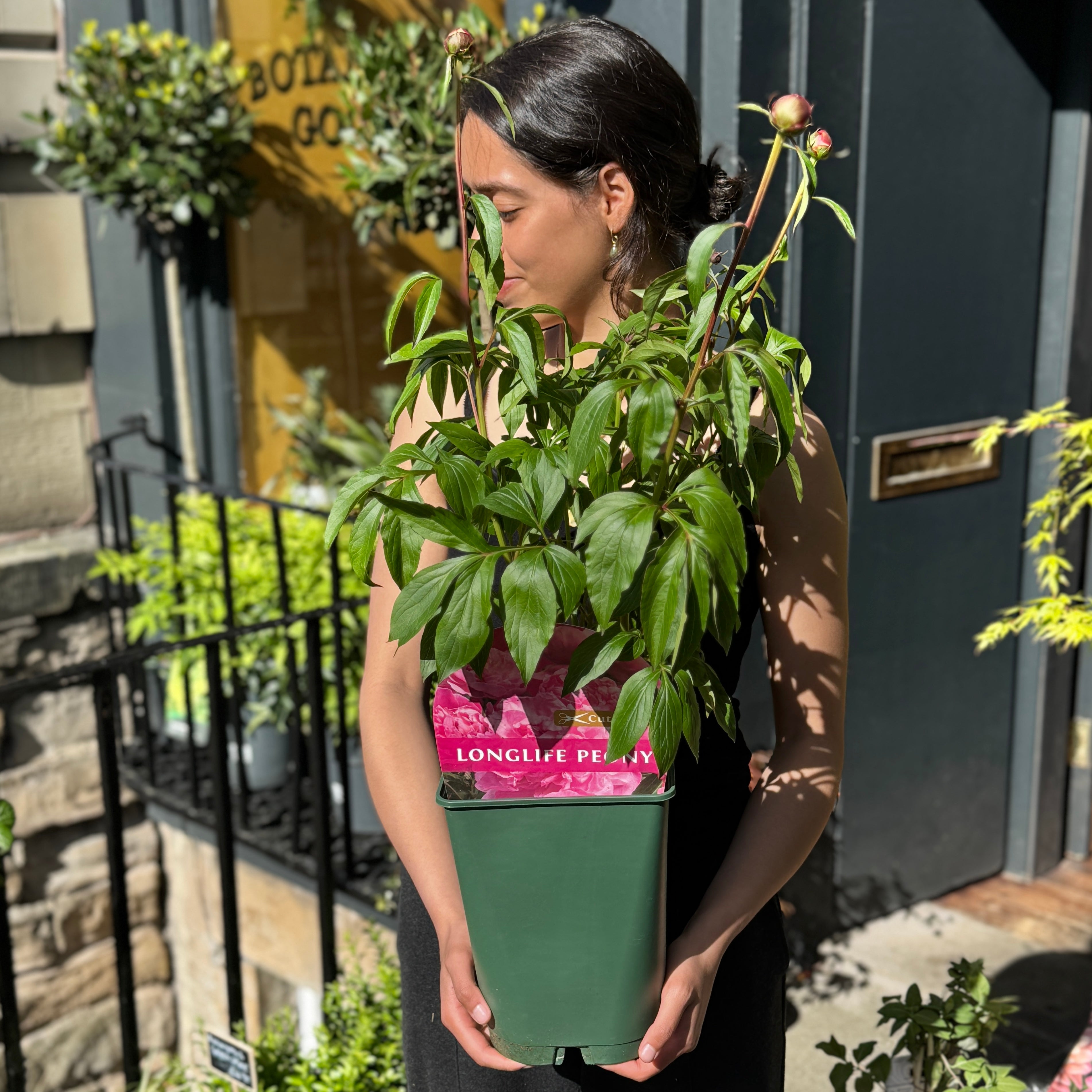 Woman holding a potted plant with a store and plants in the background