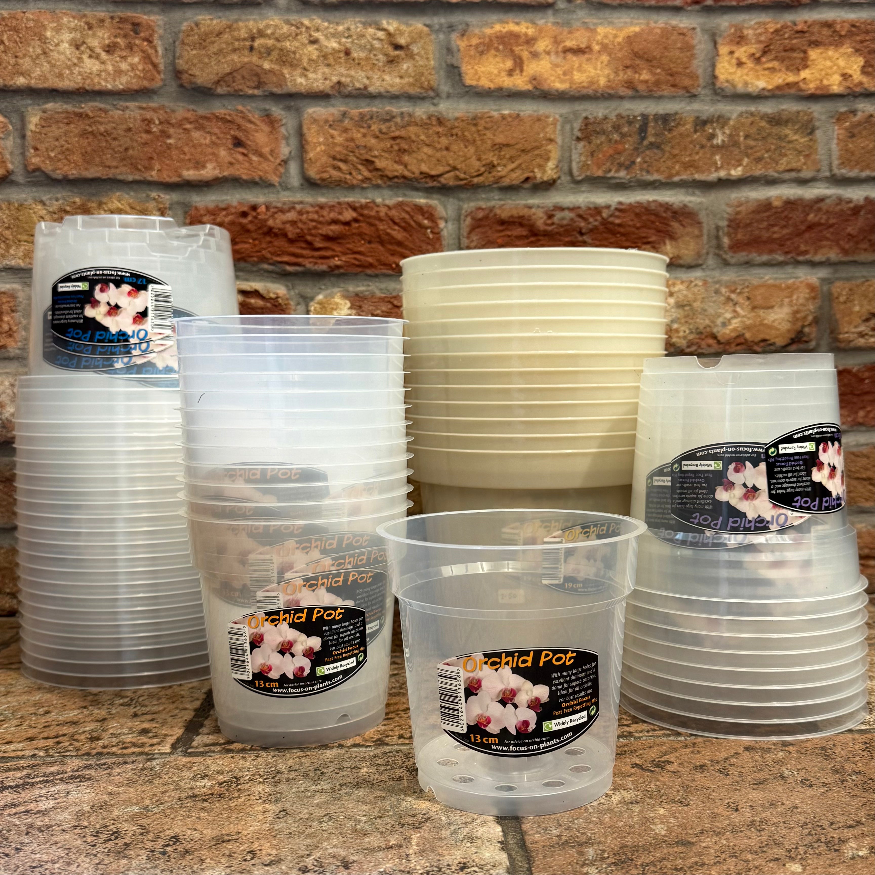 Orchid Pots – Translucent Pots for Phalaenopsis & Other Orchids