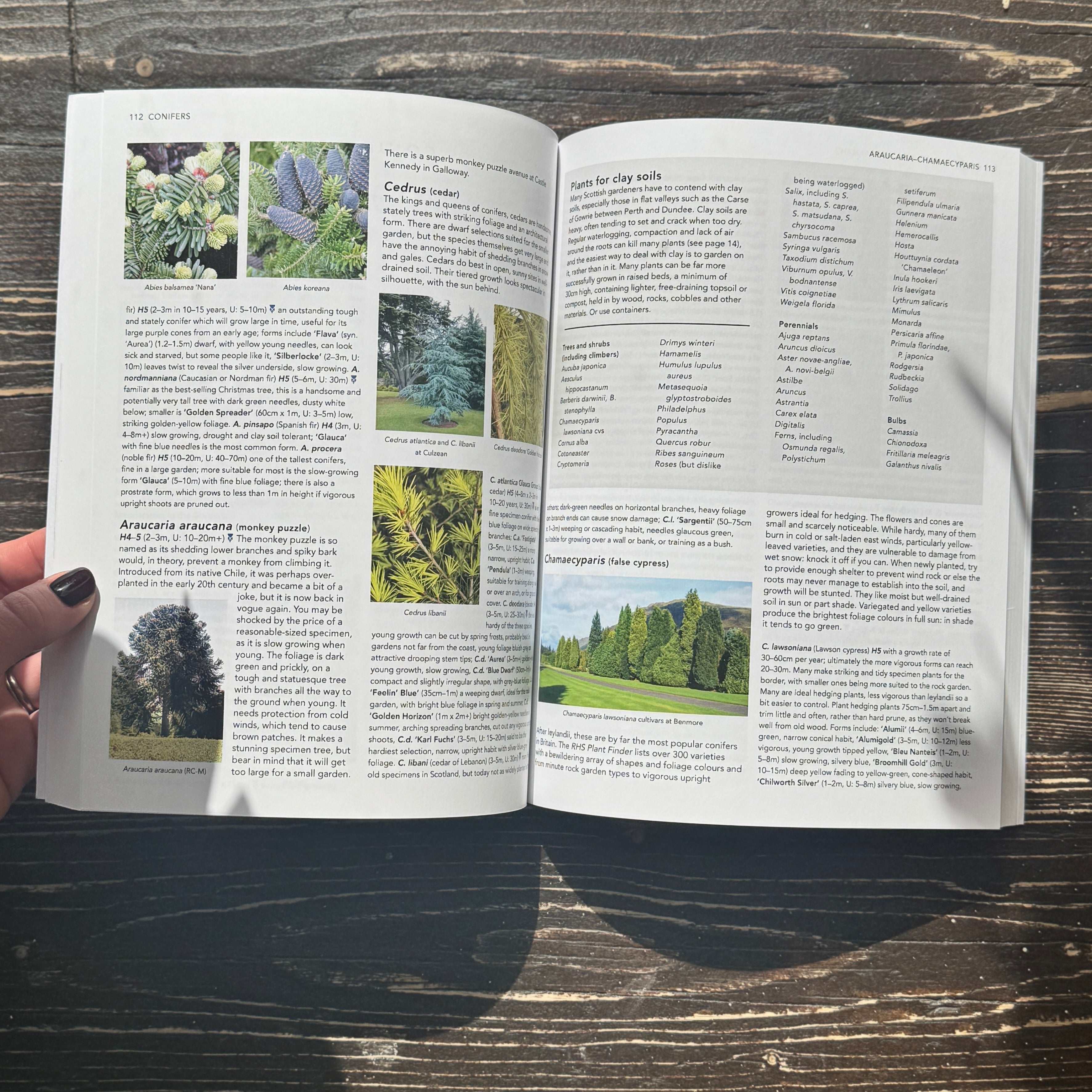 Garden Plants for Scotland
