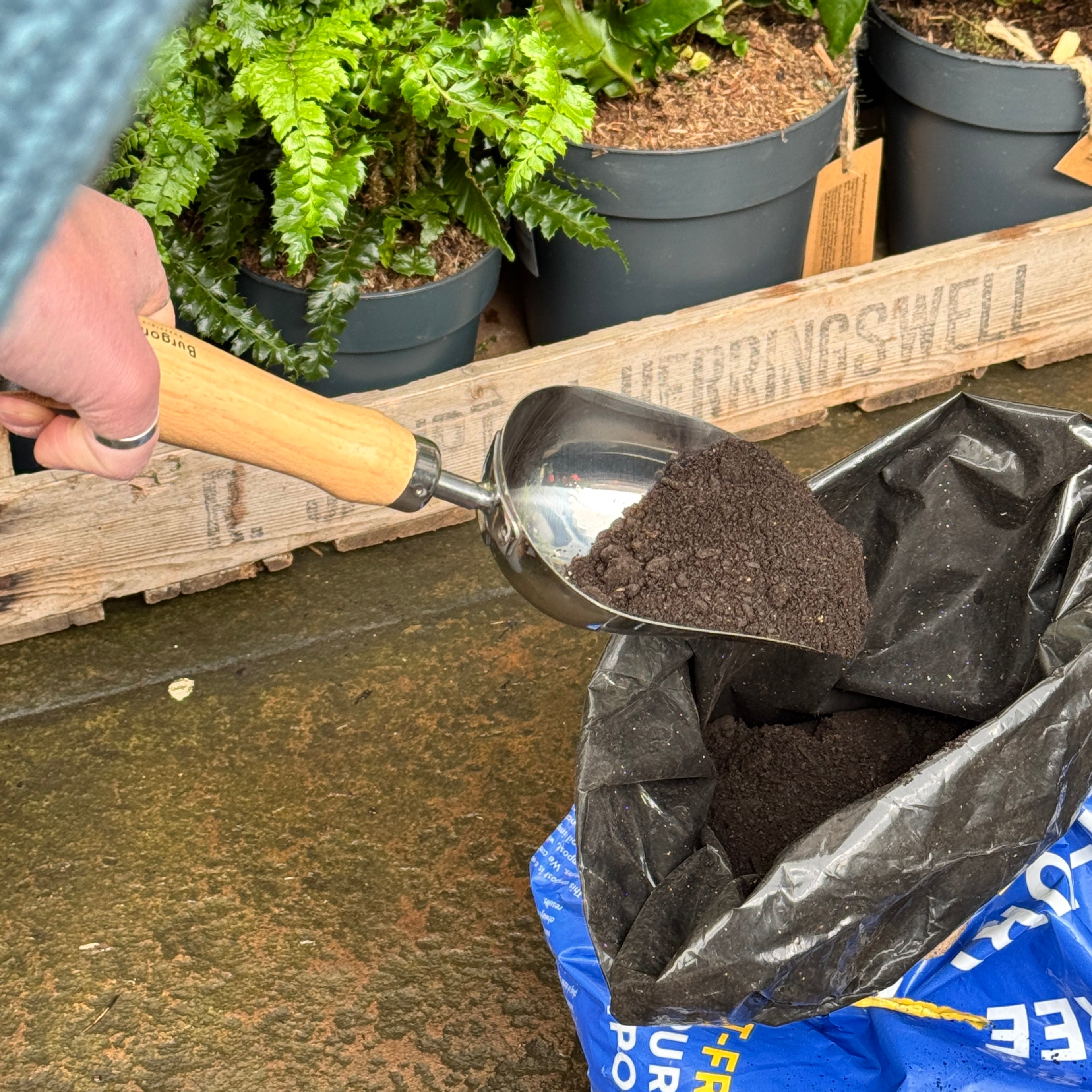 Compost Scoop by Burgon & Ball