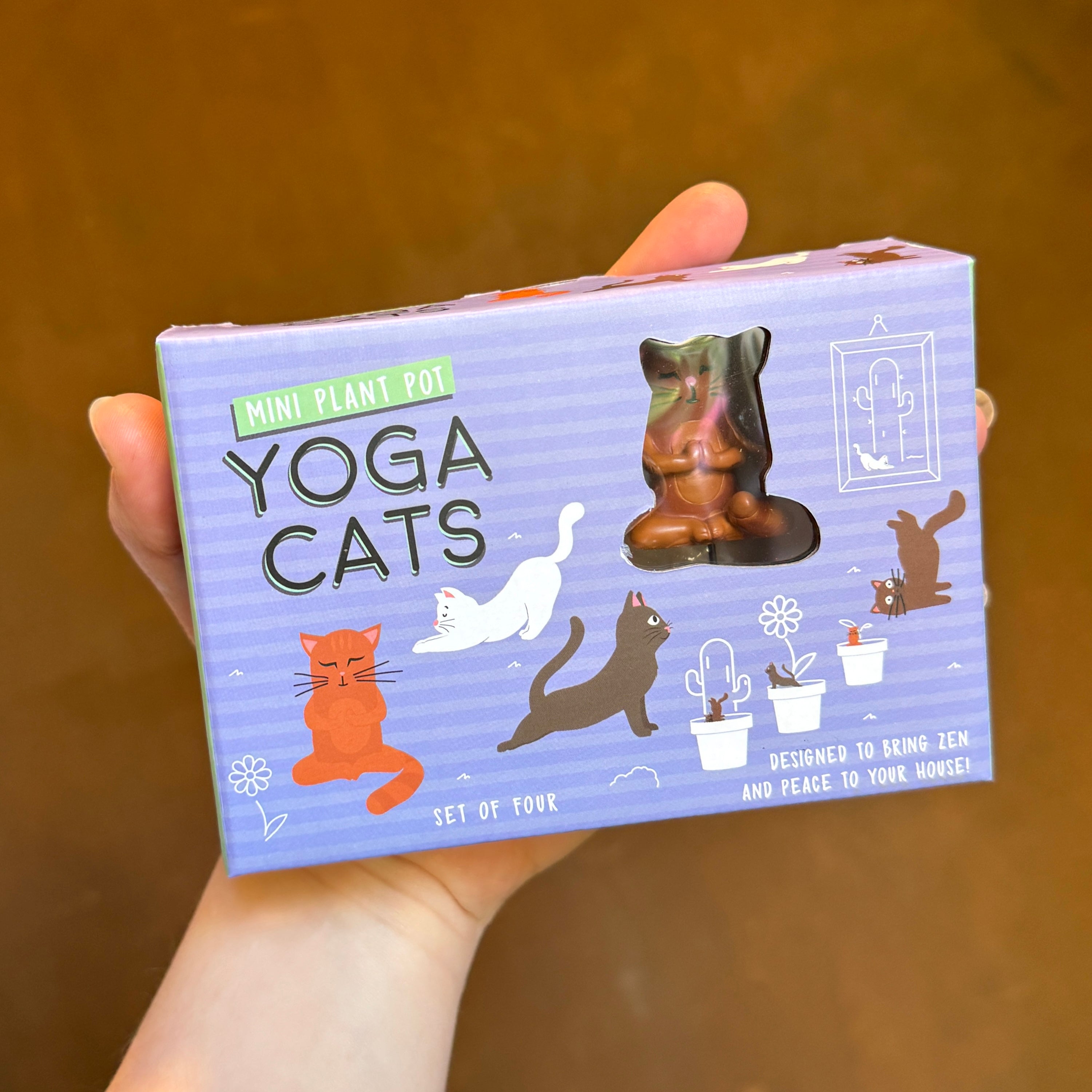 Mini Plant Pot Yoga Cats