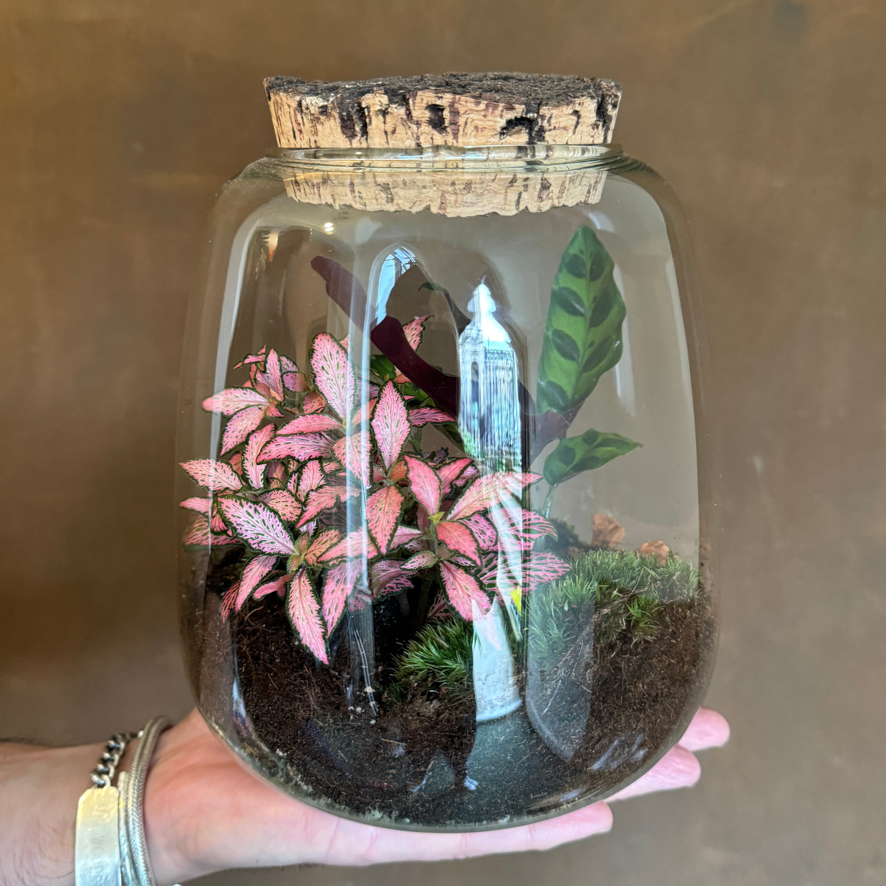 Balle Terrarium - Aged Cork