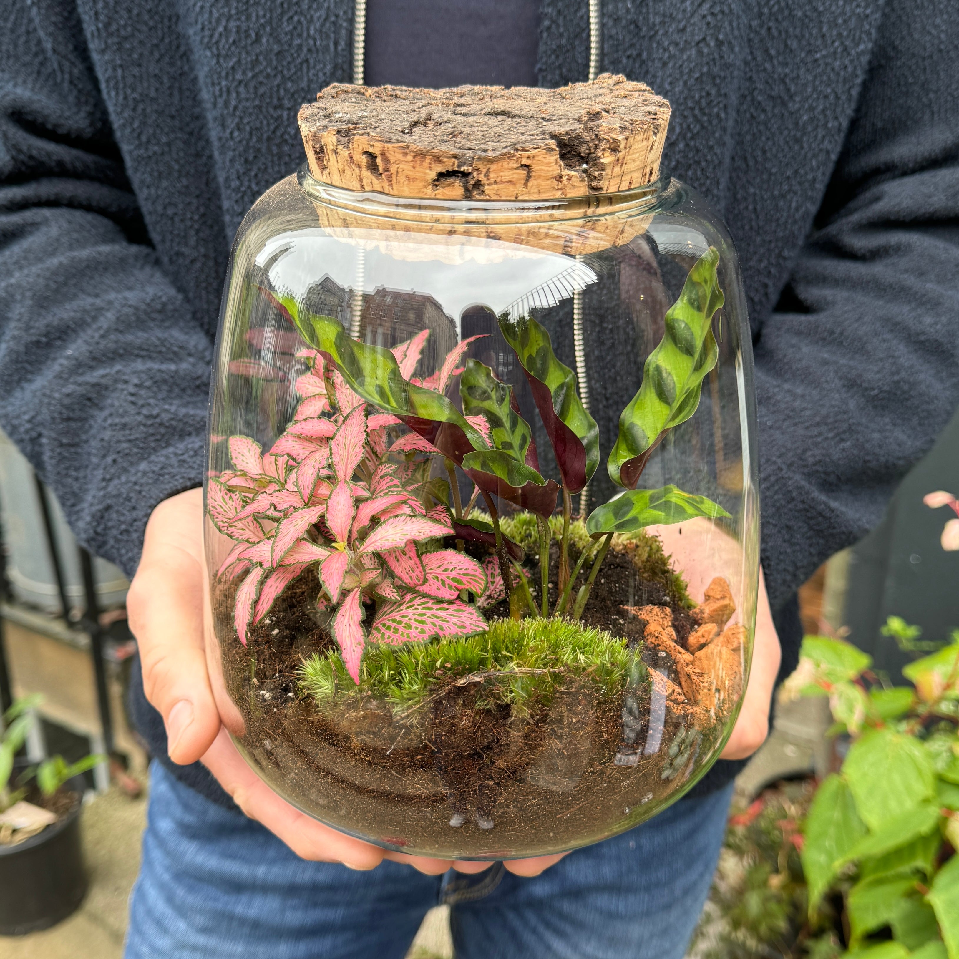 Balle Terrarium - Aged Cork