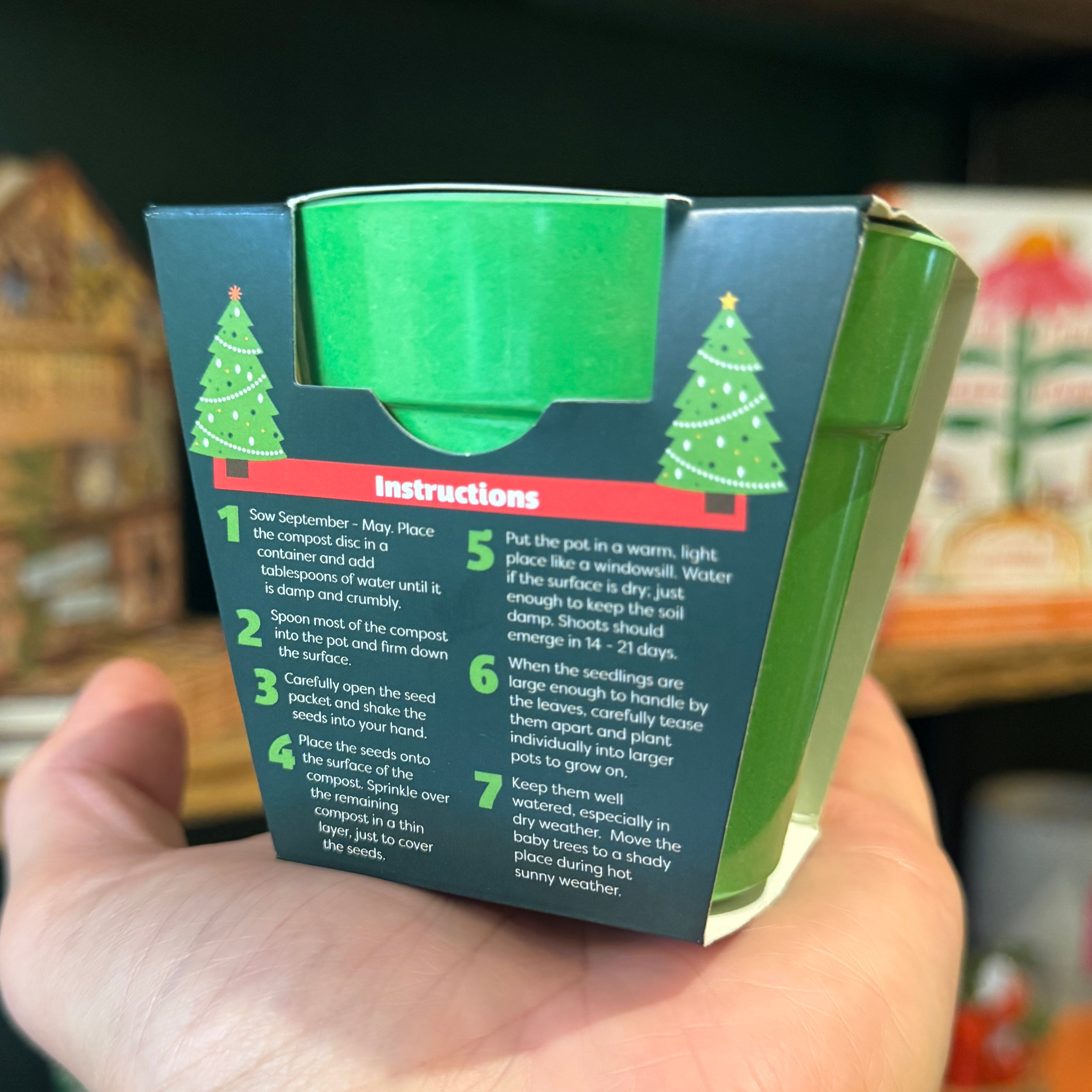 Christmas Tree Growing Kit with Pot