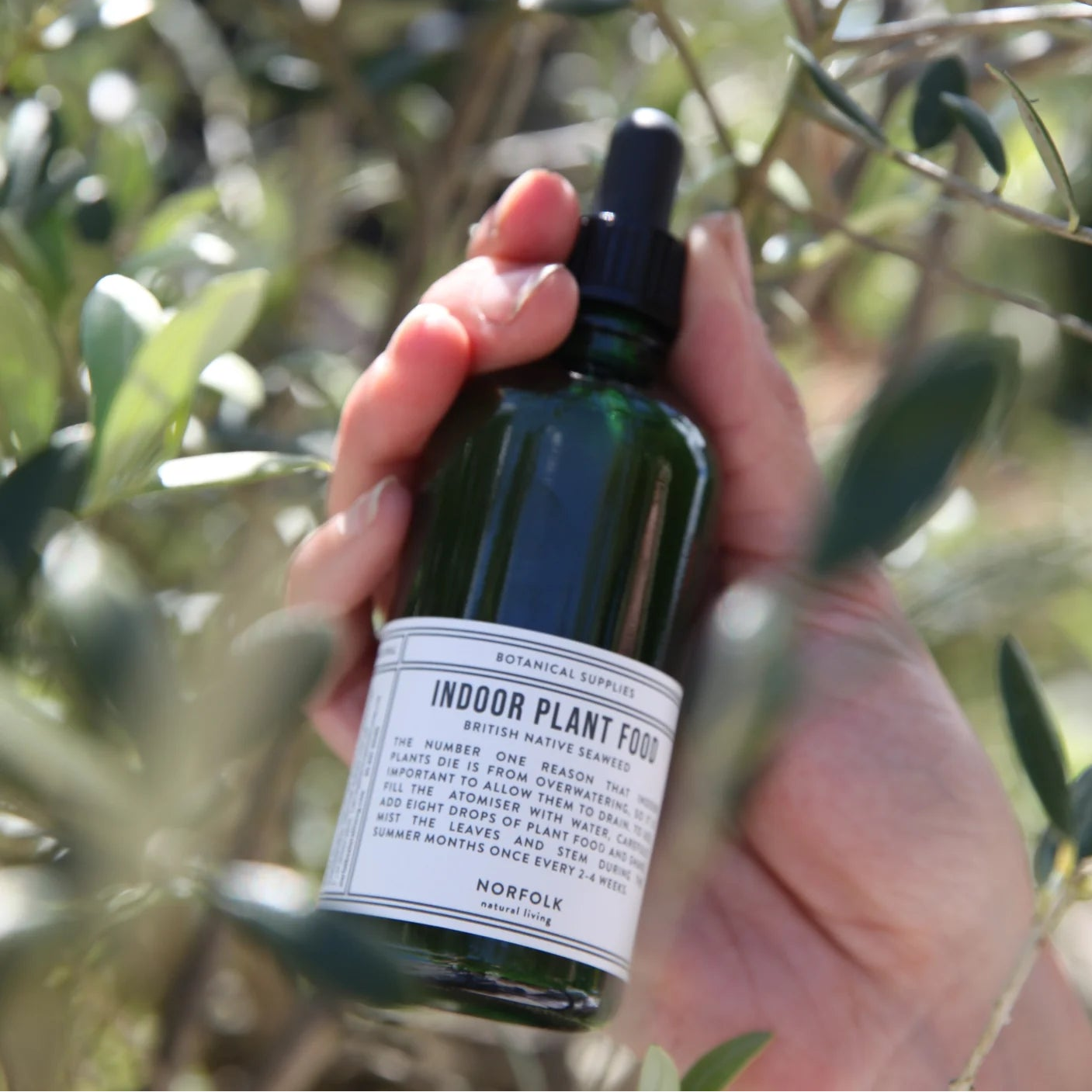 A hand holds a dark green glass dropper bottle labeled 'INDOR PLANT FOOD' by Norfolk Natural Living, set against a blurred outdoor background of olive branches.