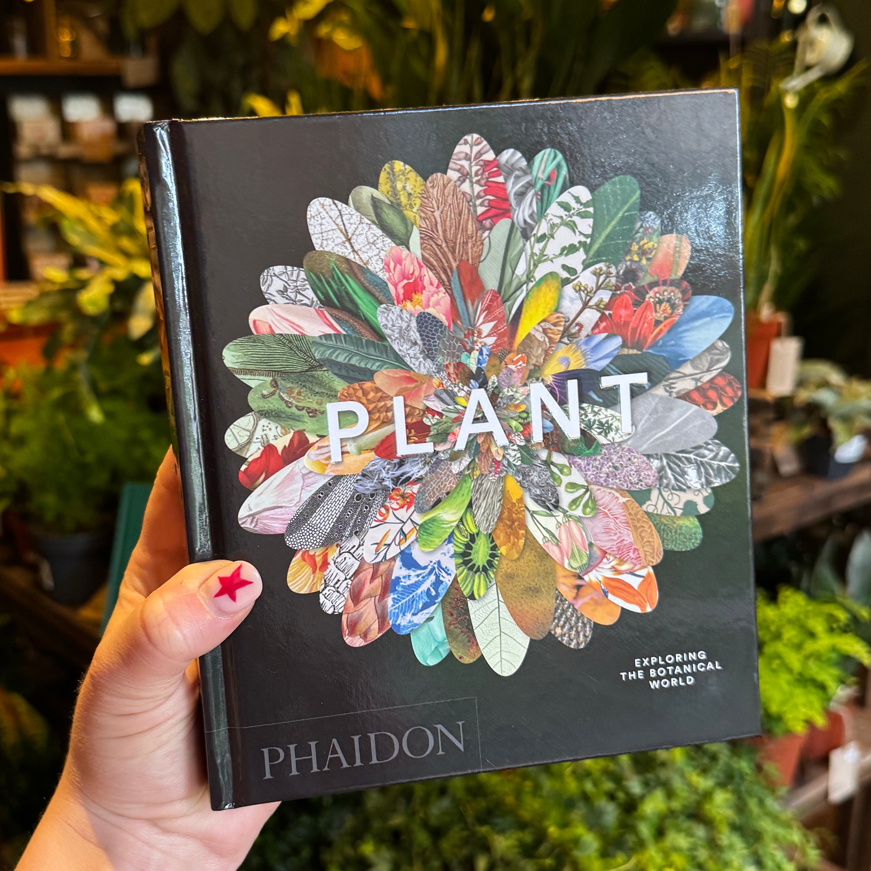 Plant: Exploring the Botanical World (Compact Edition)