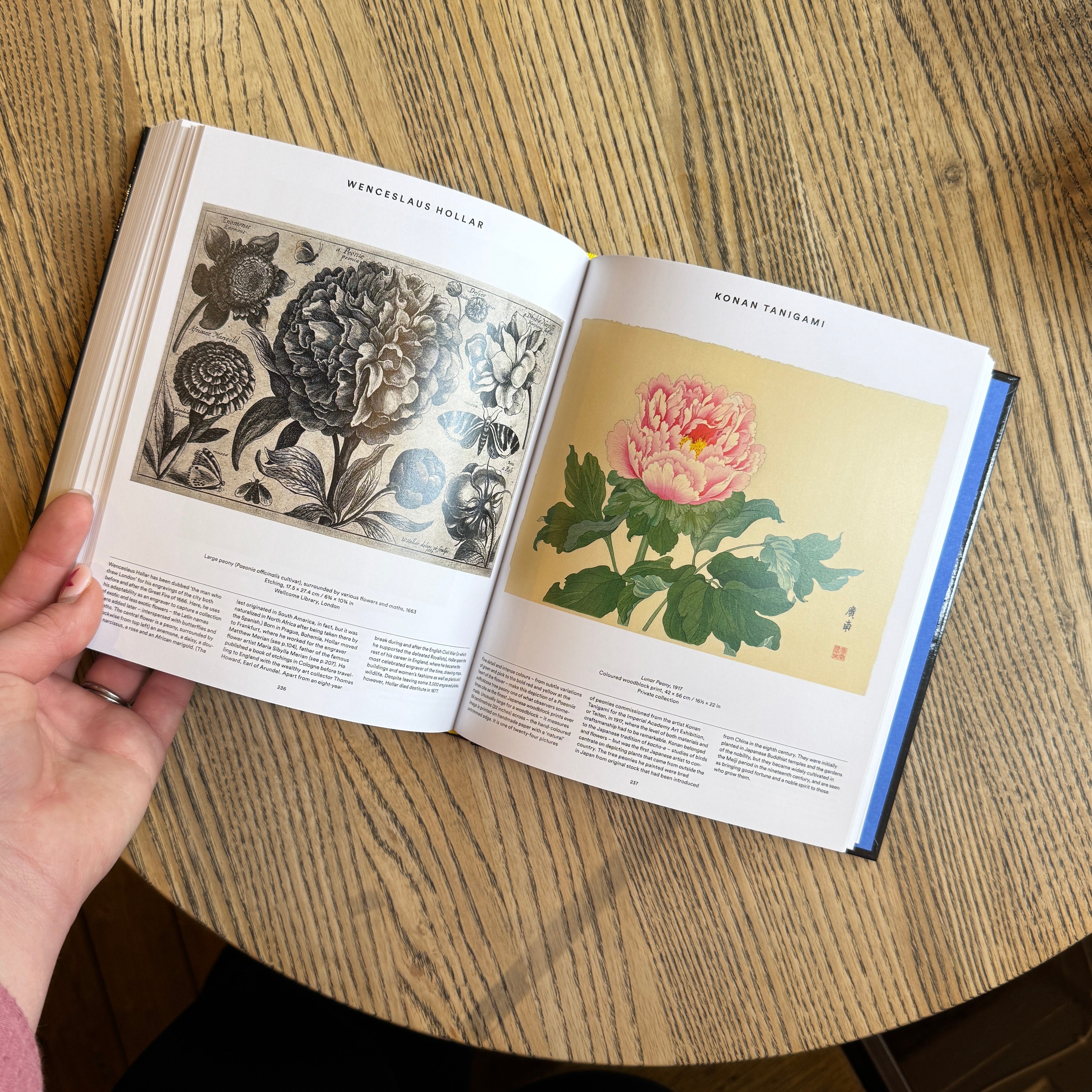 Plant: Exploring the Botanical World (Compact Edition)